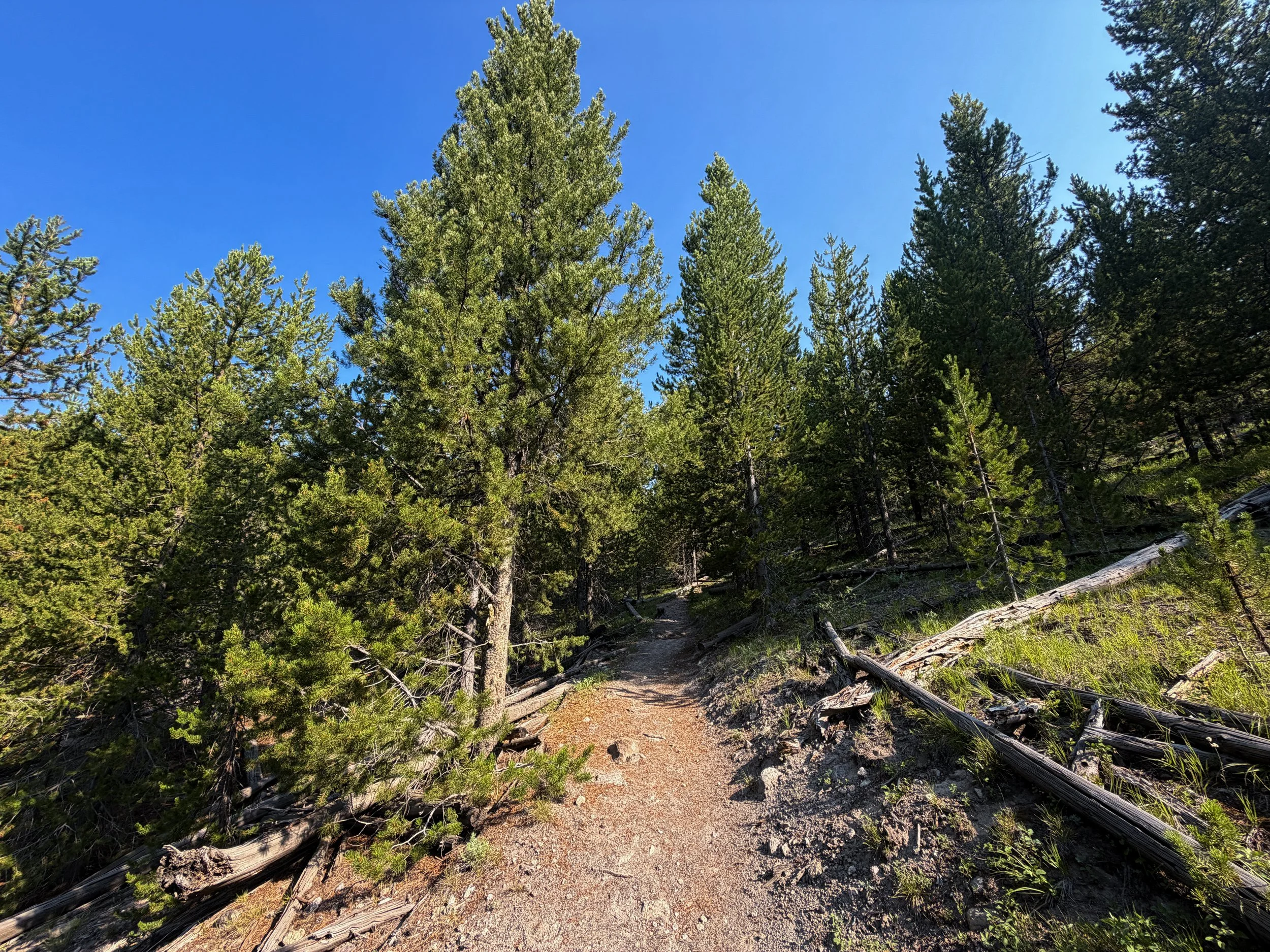Mystic Falls Trail Yellowstone National Park Wyoming