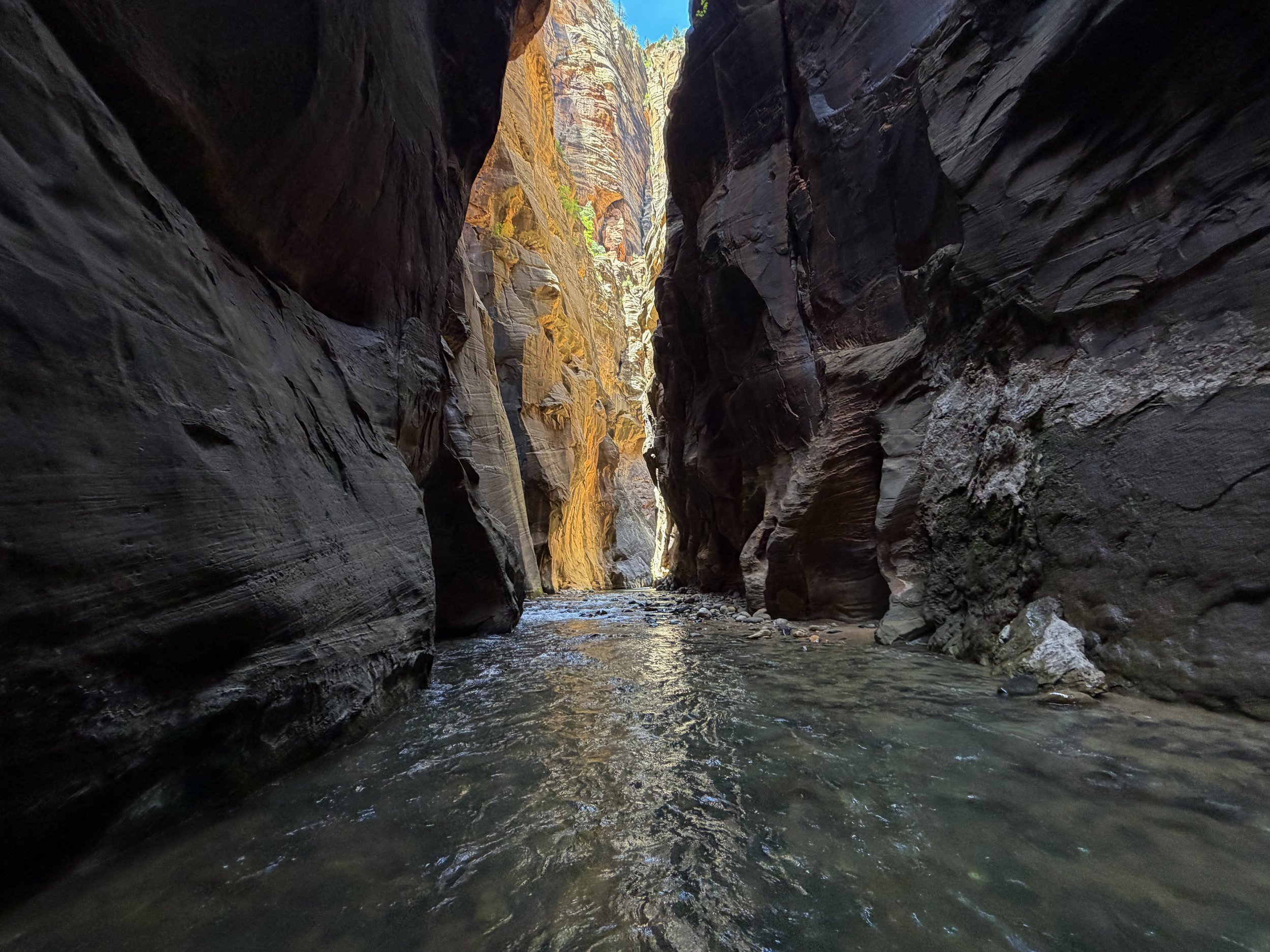 Wall Street Narrows Hike Zion National Park Utah