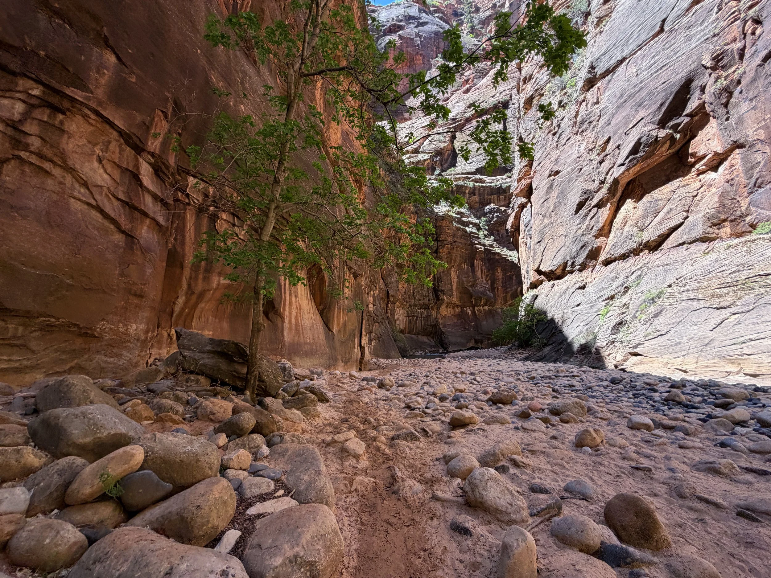 The Narrows Trail Zion National Park Utah