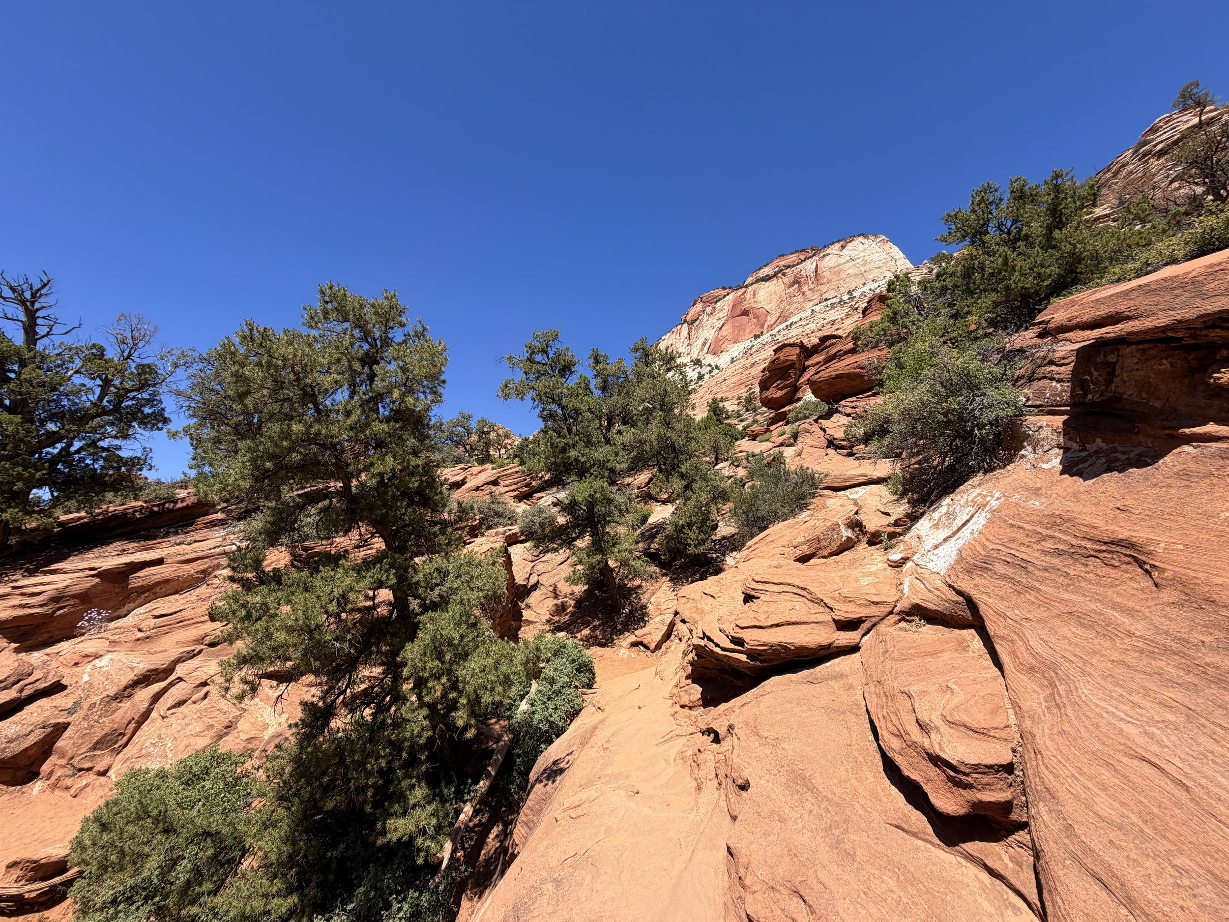 Canyon Overlook Trail Zion National Park Utah