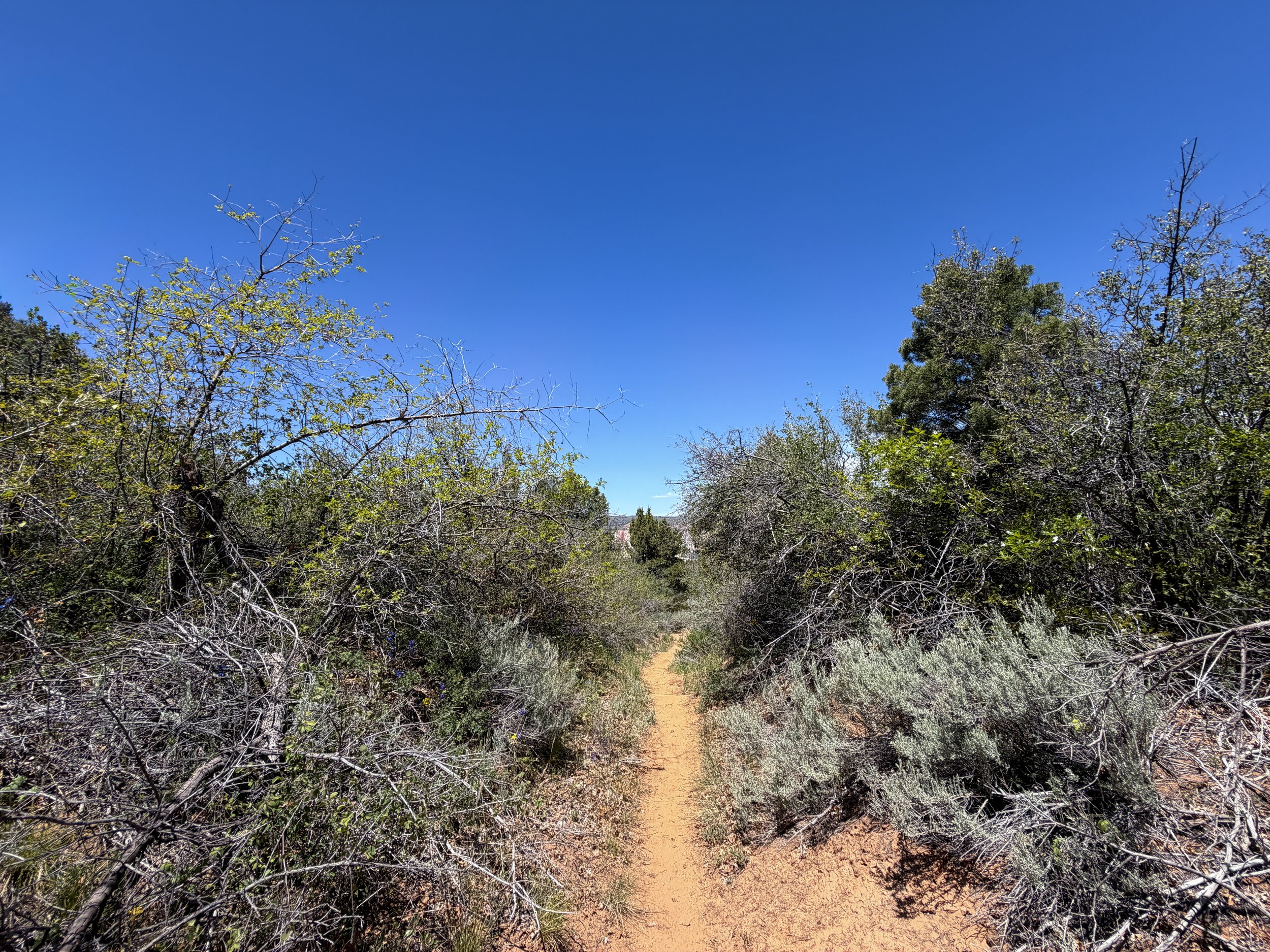 Cable Mountain Trail Zion National Park Utah