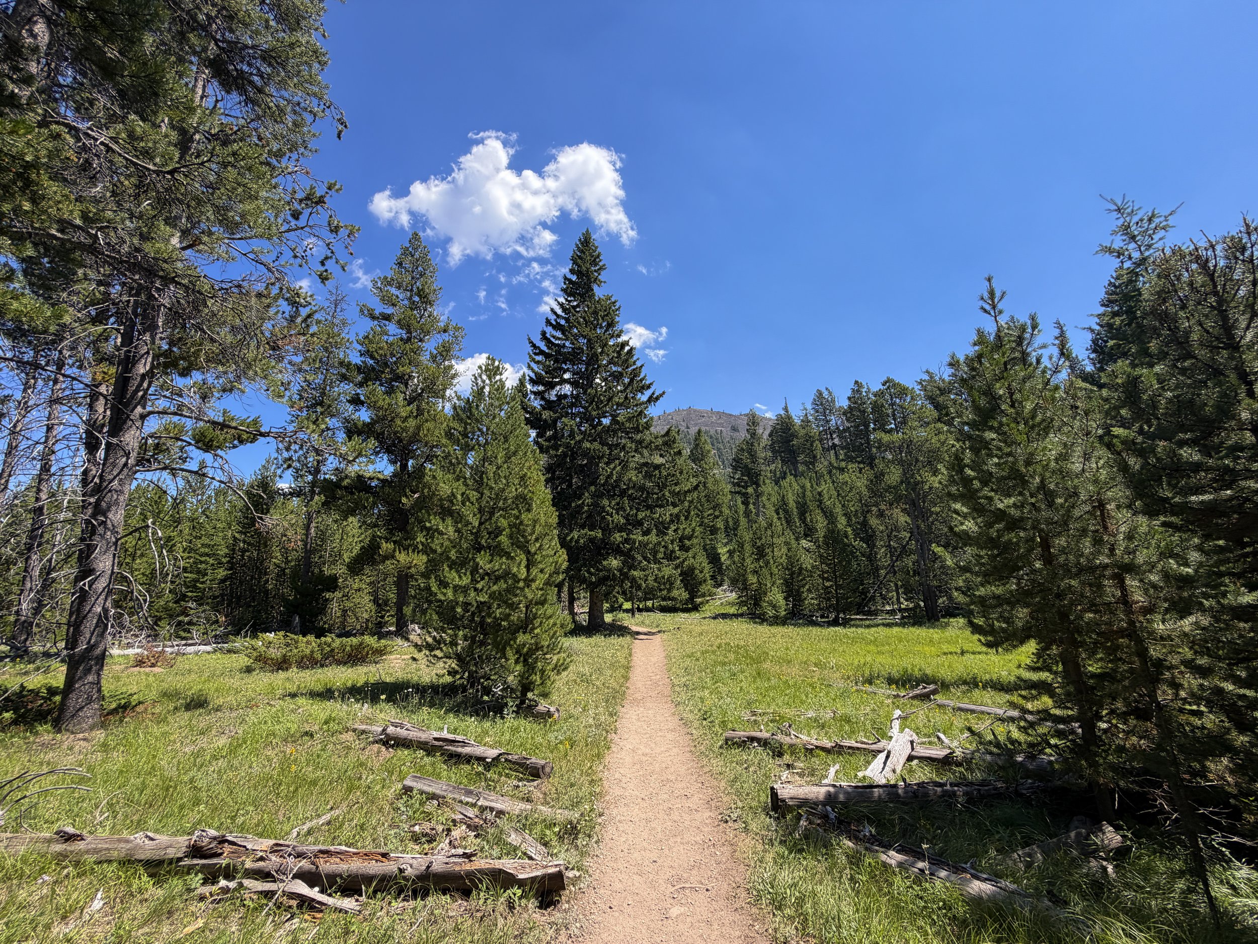 Bunsen Peak Trail Yellowstone National Park Wyoming
