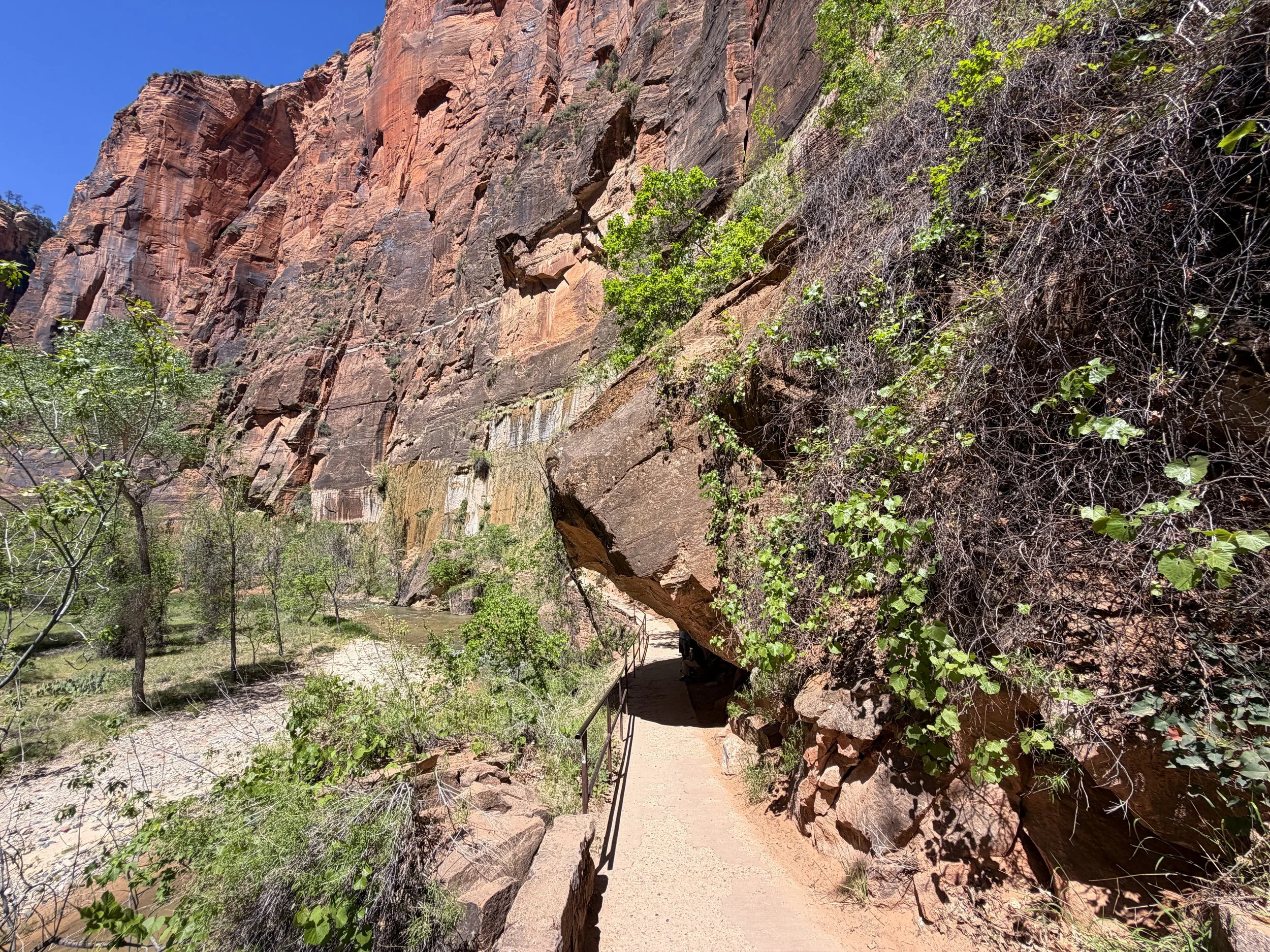 Riverside Walk Hike Zion National Park Utah