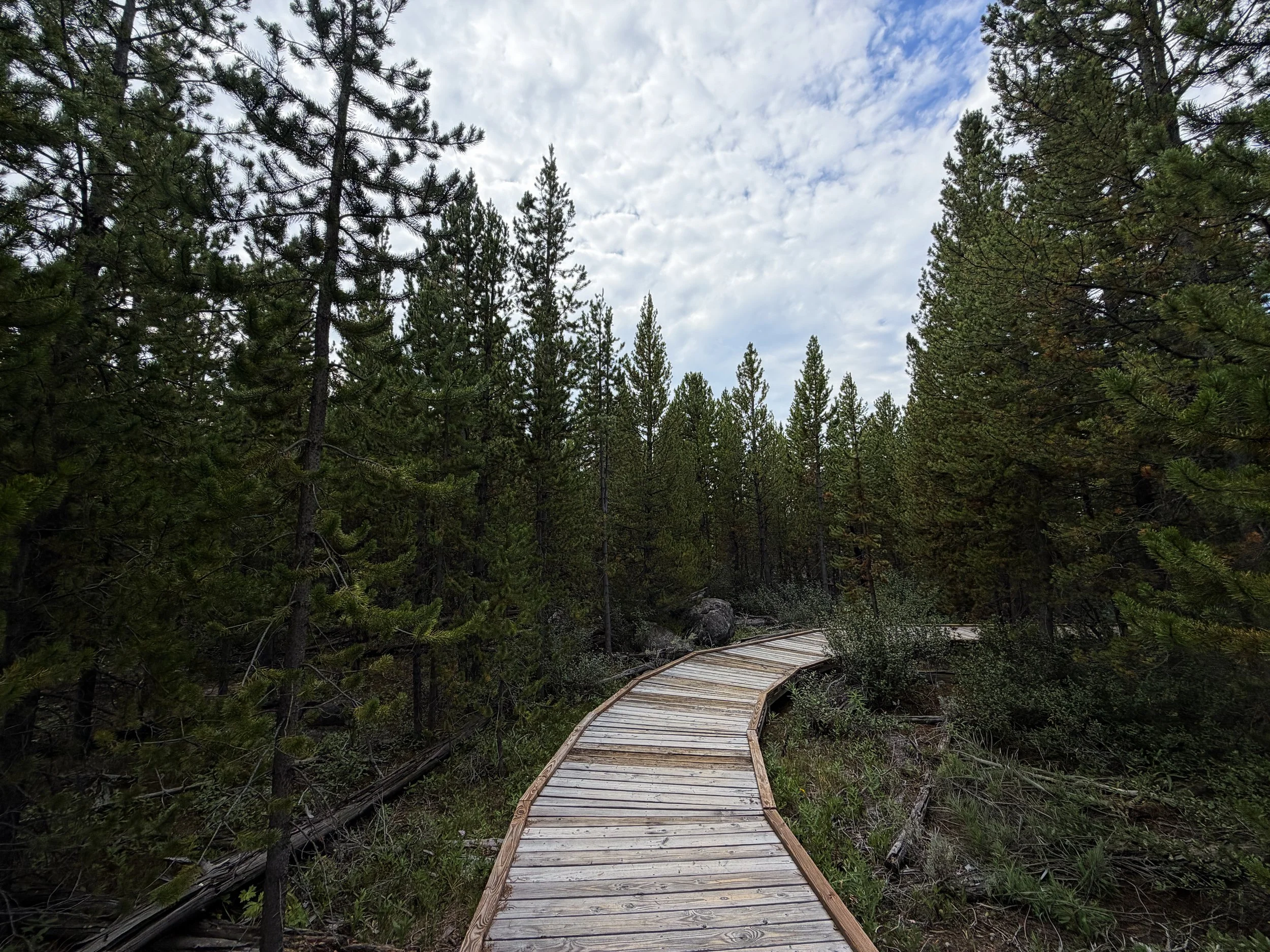 Forces of the Northern Range Trail Yellowstone National Park Wyoming