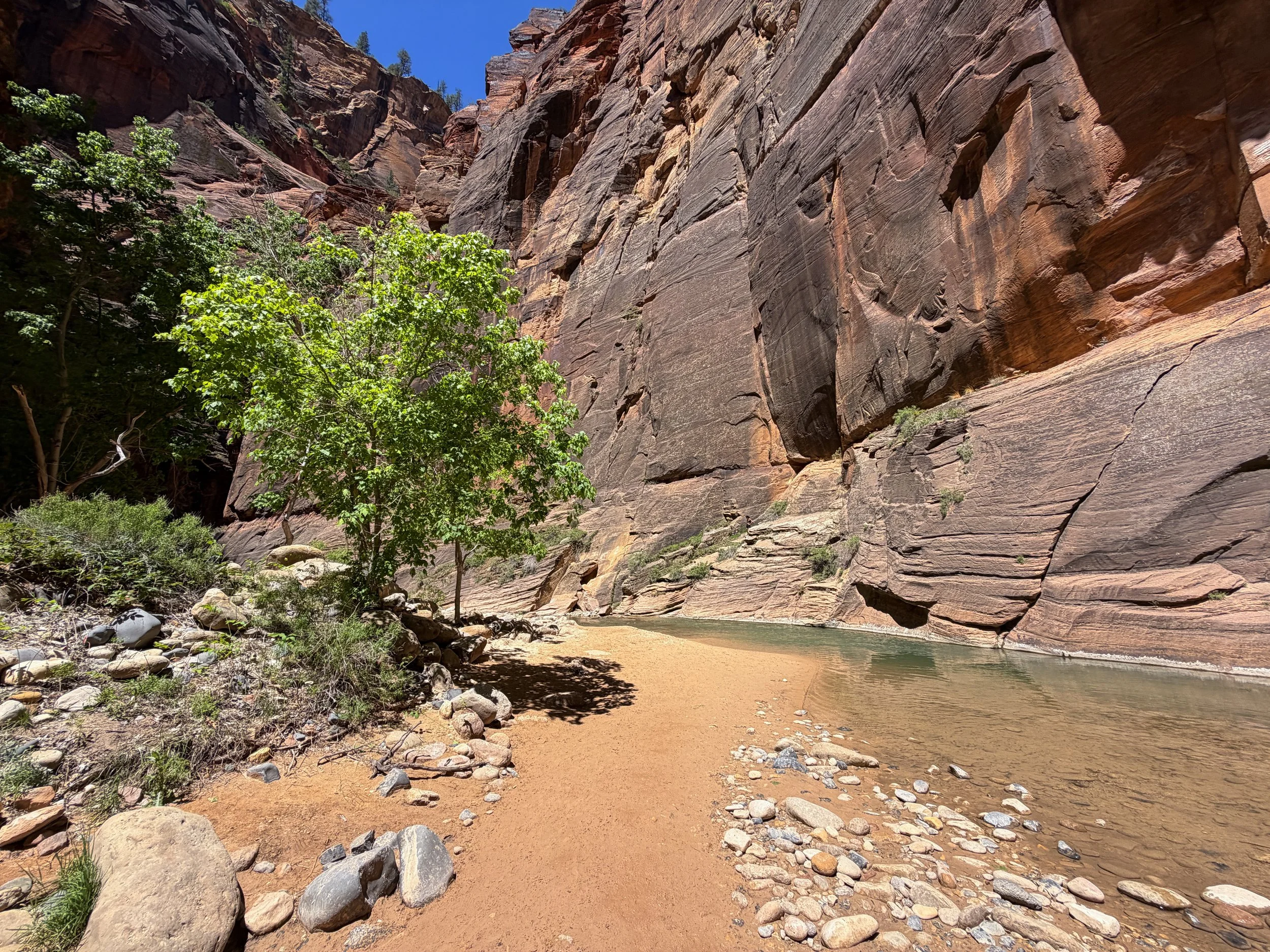The Narrows Trail Zion National Park Utah