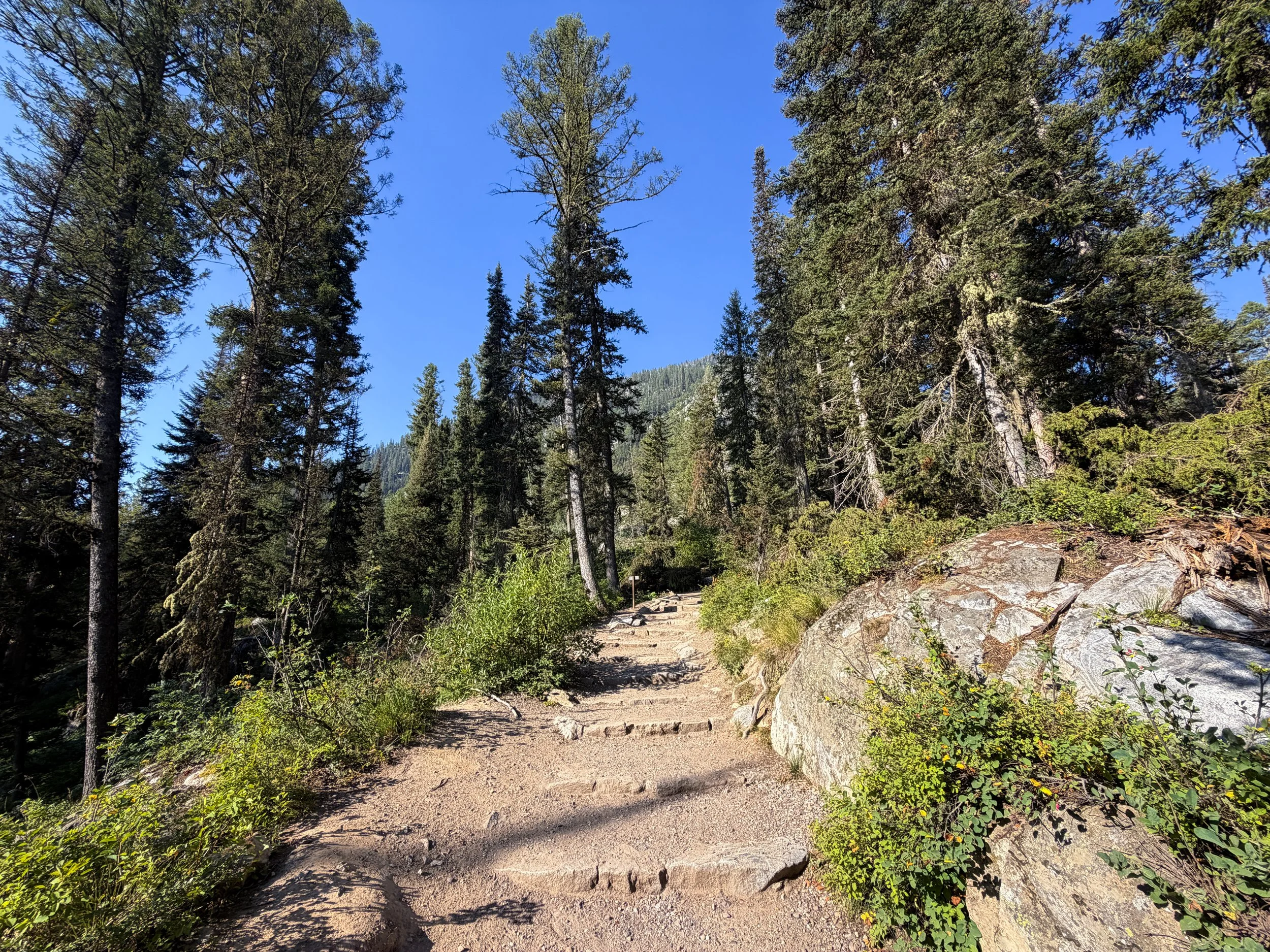 Jenny Lake Loop Trail to Hidden Falls Grand Teton National Park Wyoming