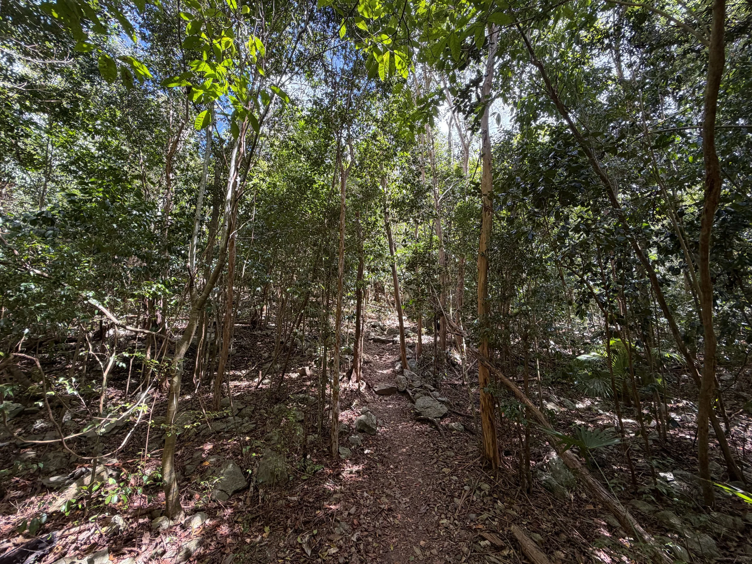 Cinnamon Bay Trail Virgin Islands National Park