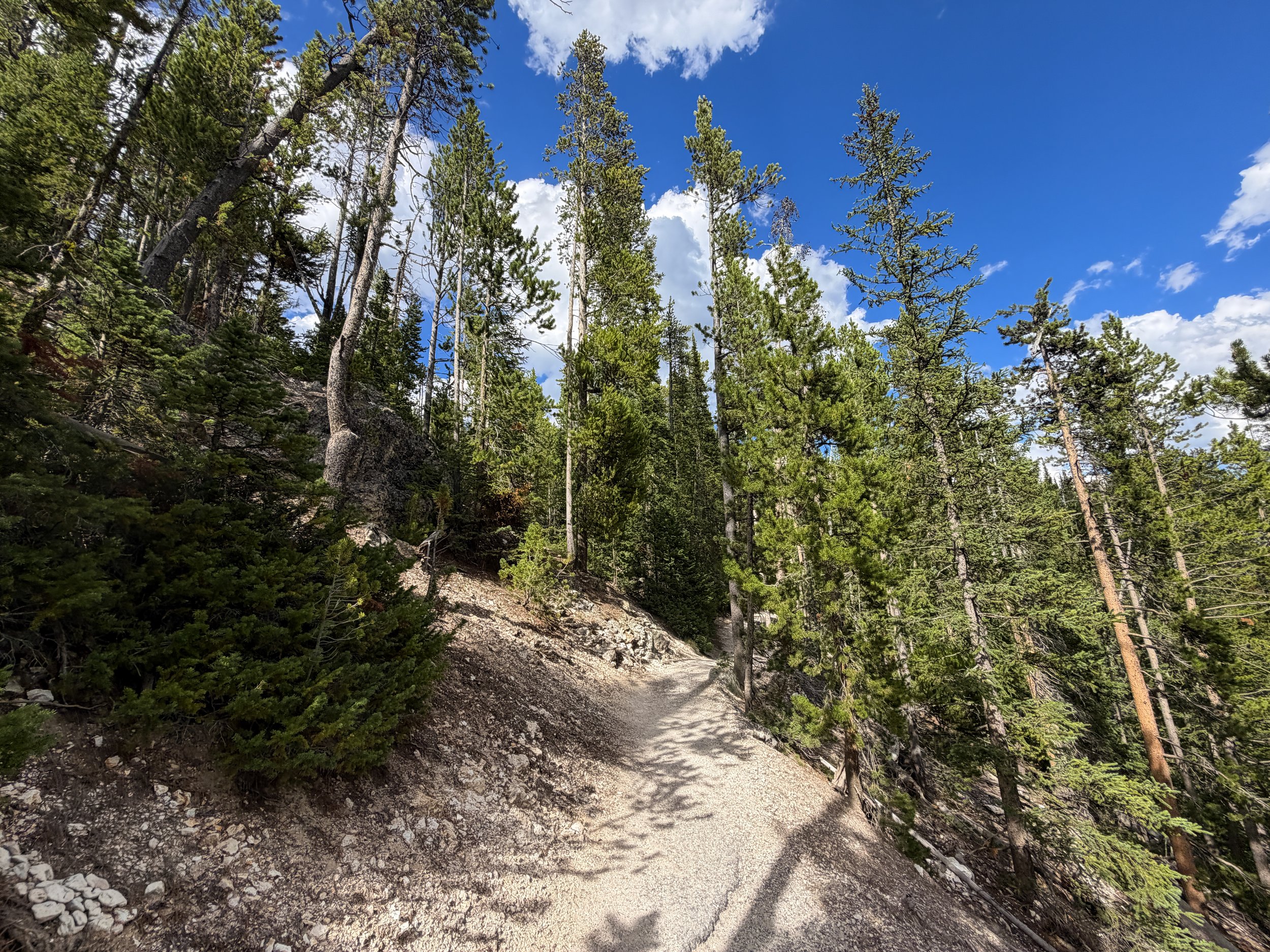 North Rim Trail Yellowstone National Park Wyoming