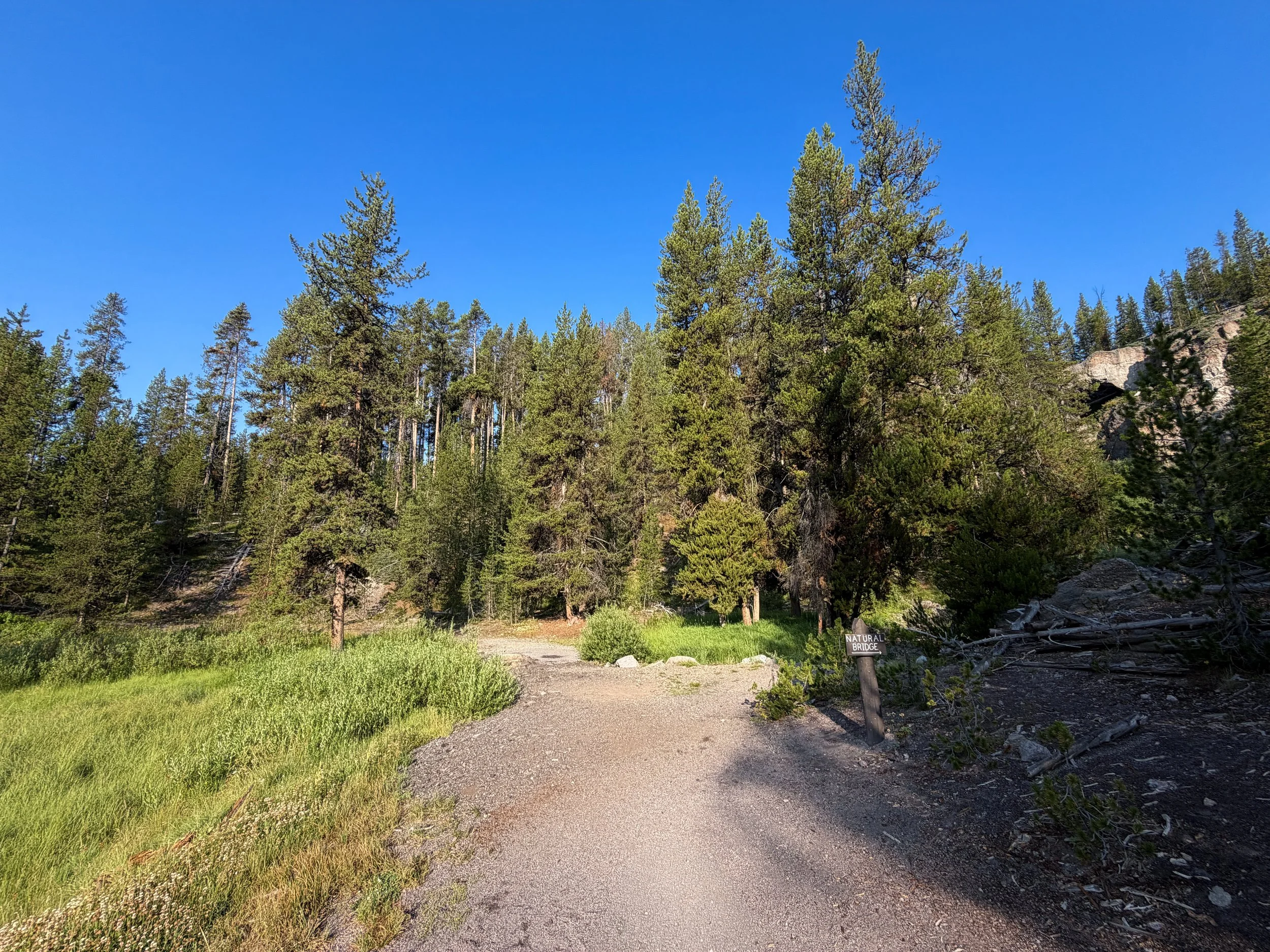 Natural Bridge Trail Yellowstone National Park Wyoming