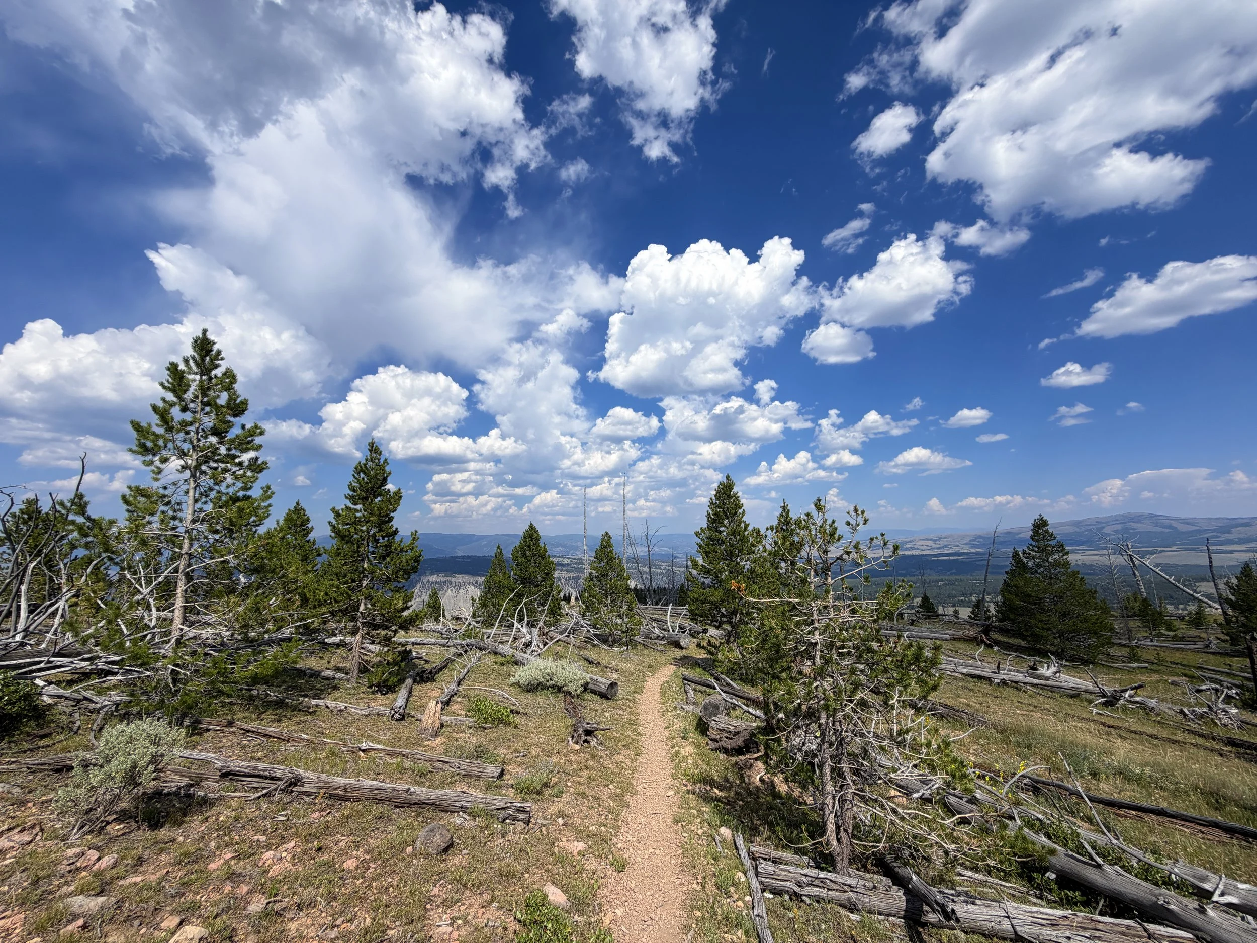 Bunsen Peak Trail to Osprey Falls Yellowstone National Park Wyoming
