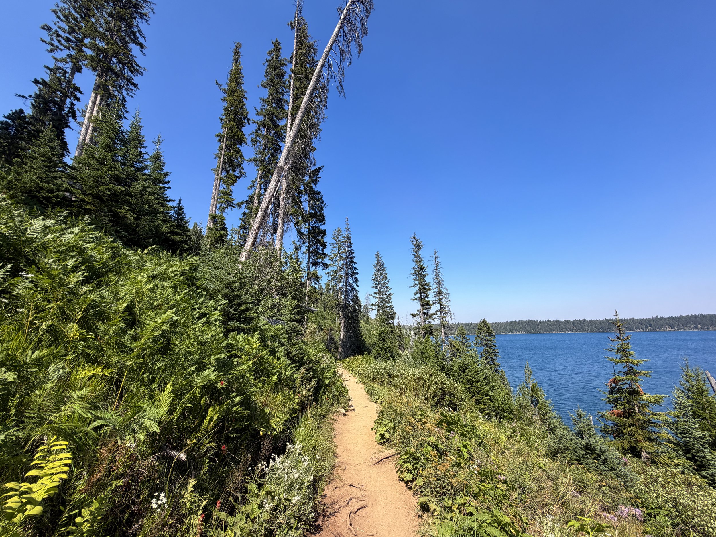 Jenny Lake Loop Trail Grand Teton National Park Wyoming