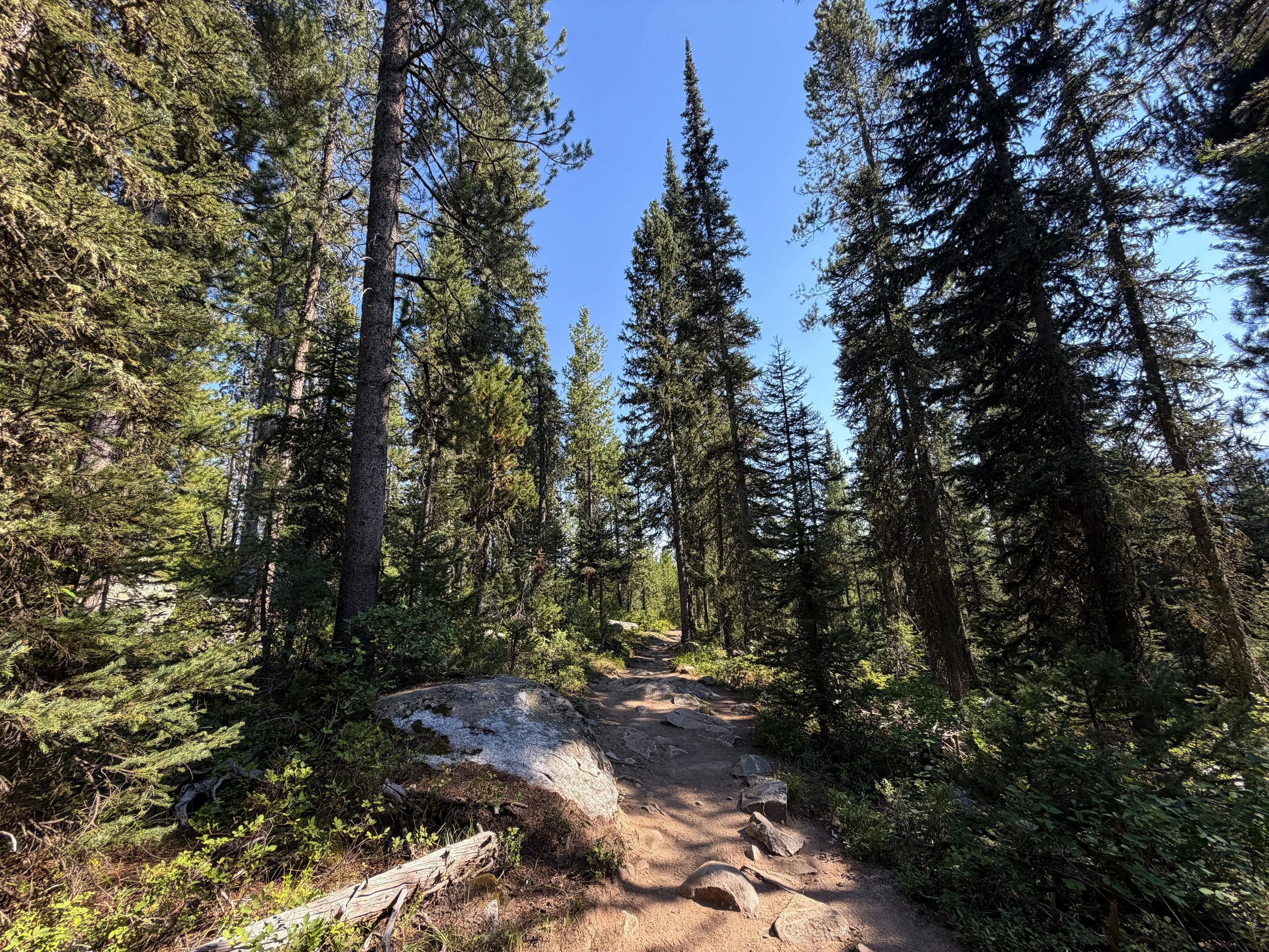 Jenny Lake Trail Grand Teton National Park Wyoming