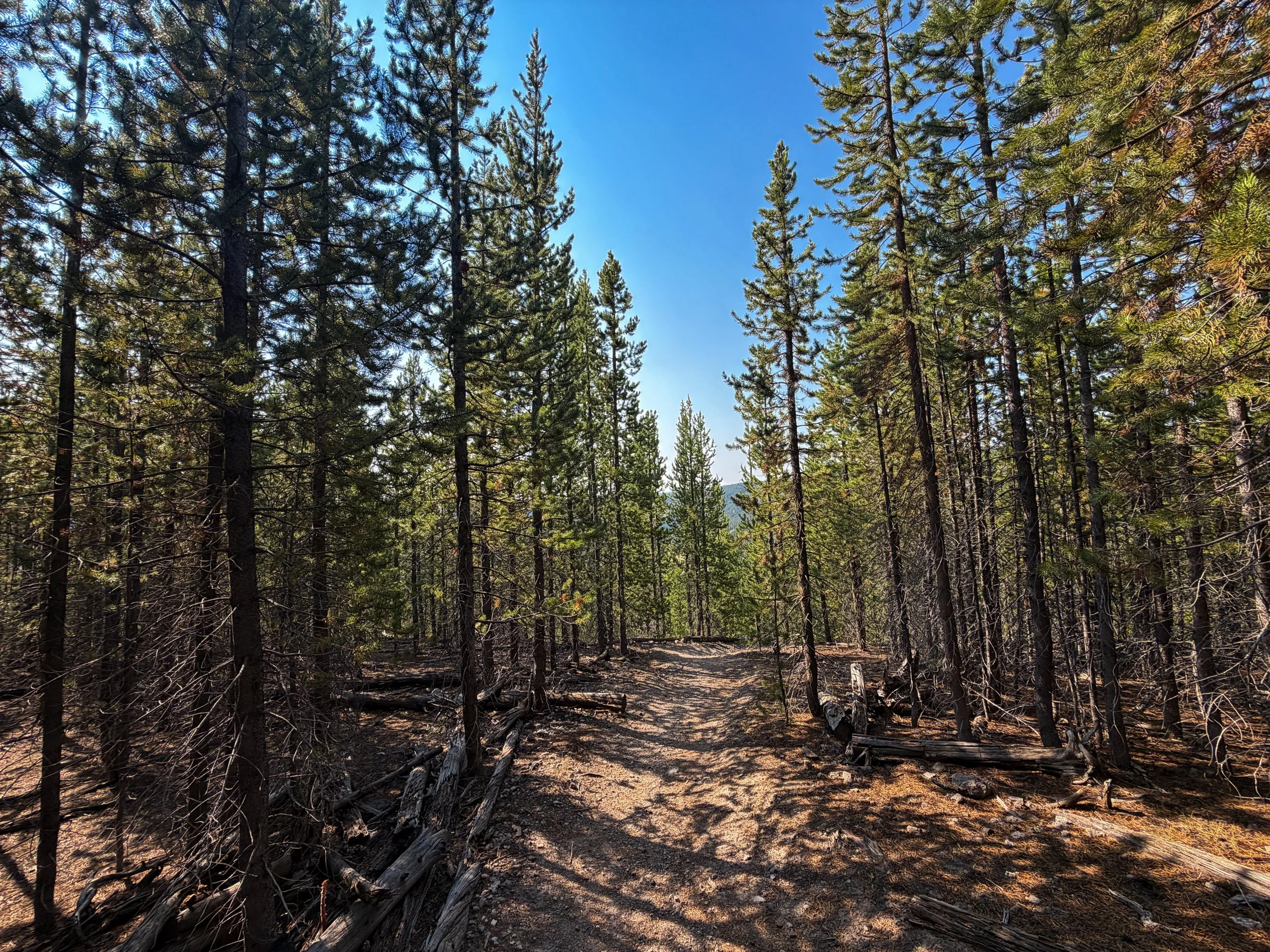 Mystic Falls Trail Yellowstone National Park Wyoming