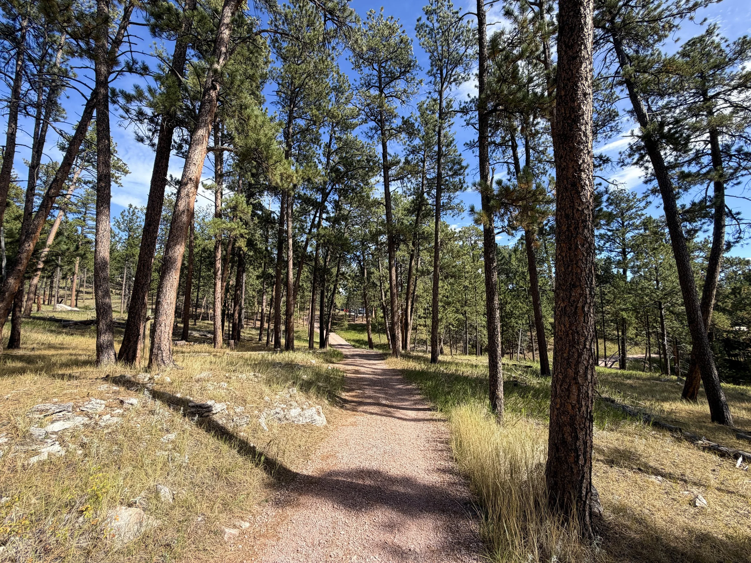 Canyons Trail Jewel Cave National Monument Black Hills South Dakota