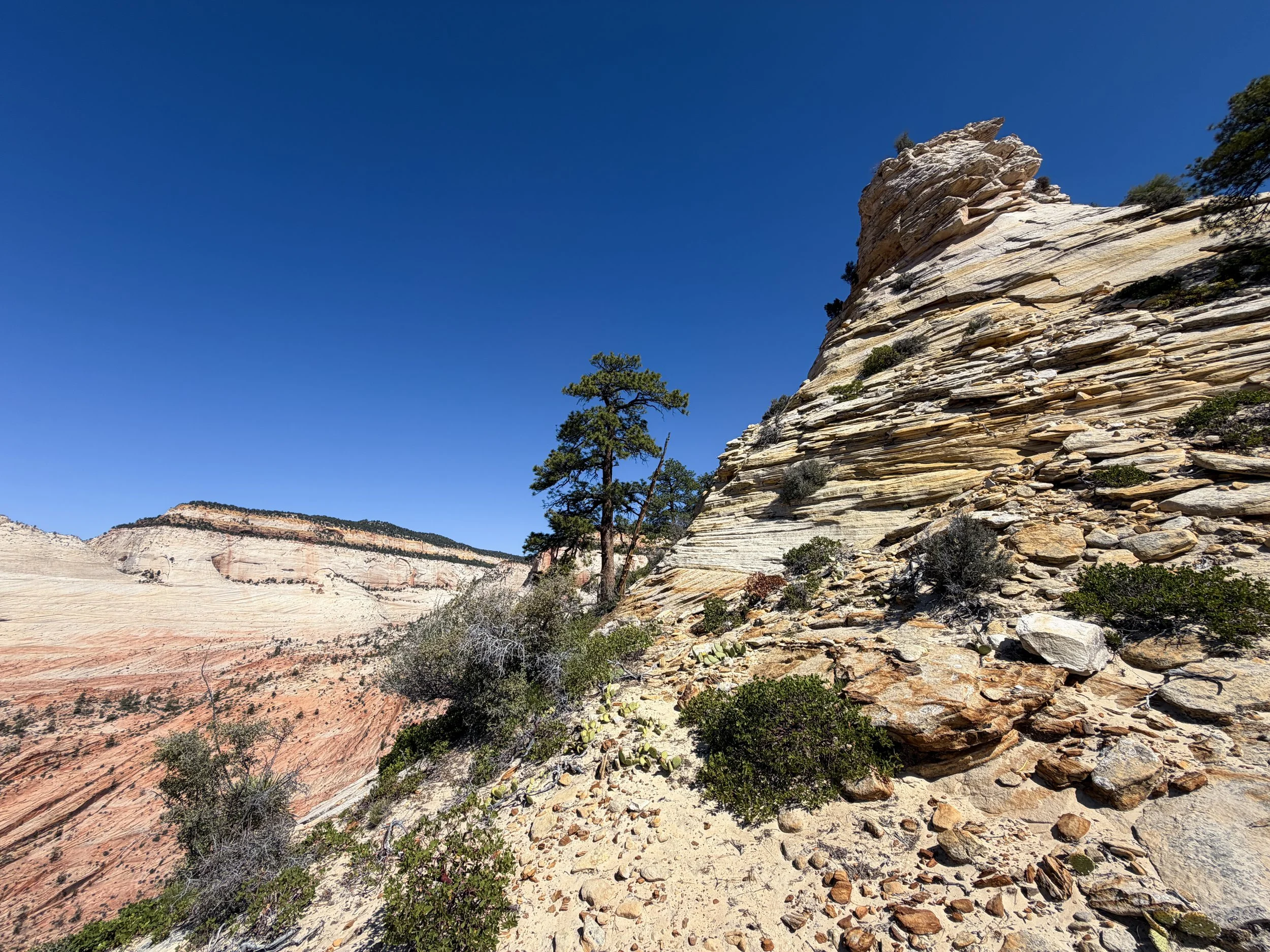 South Ariel Peak Hike Zion National Park Utah