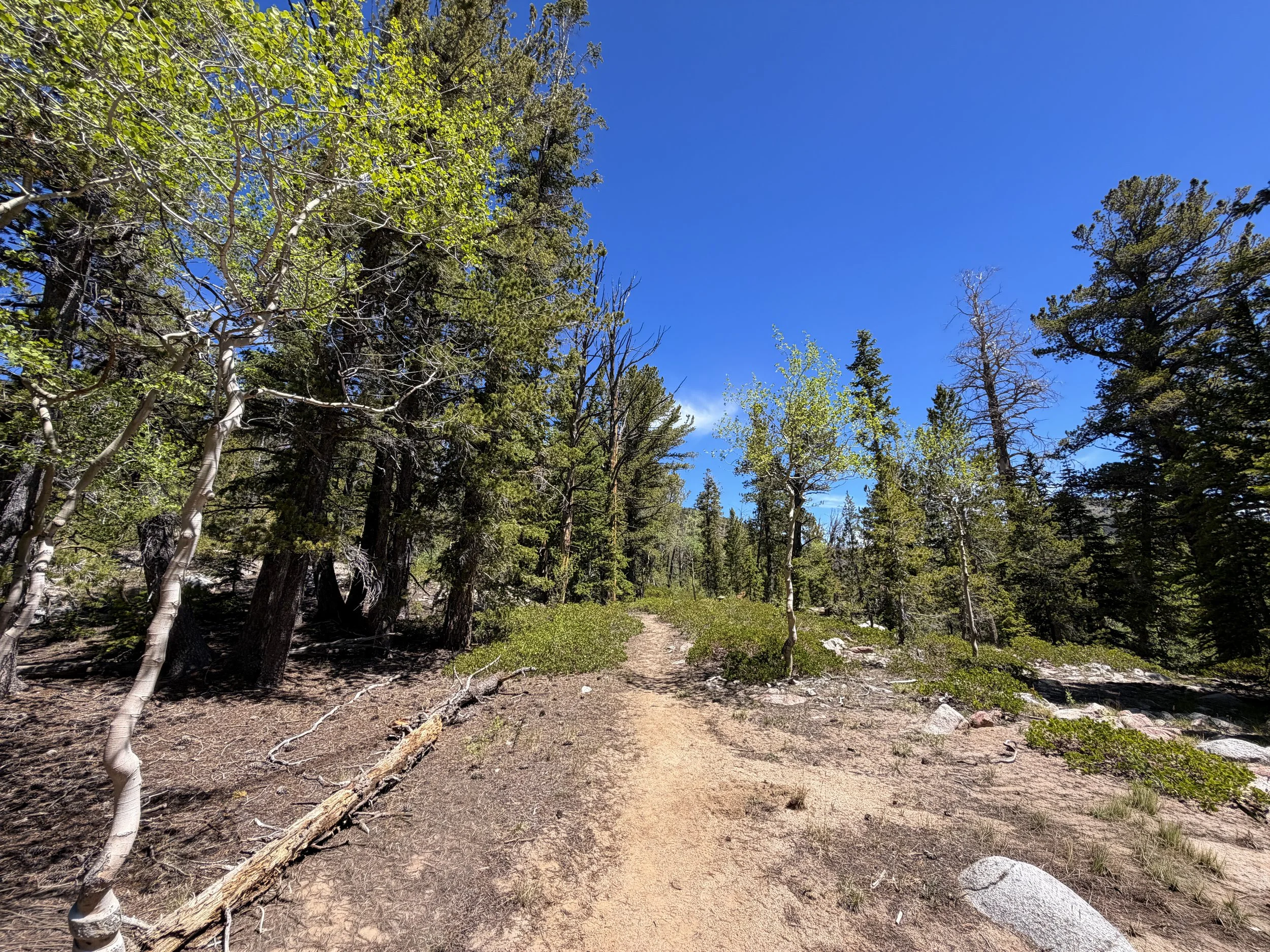Dead Lake Trail Great Basin National Park Nevada