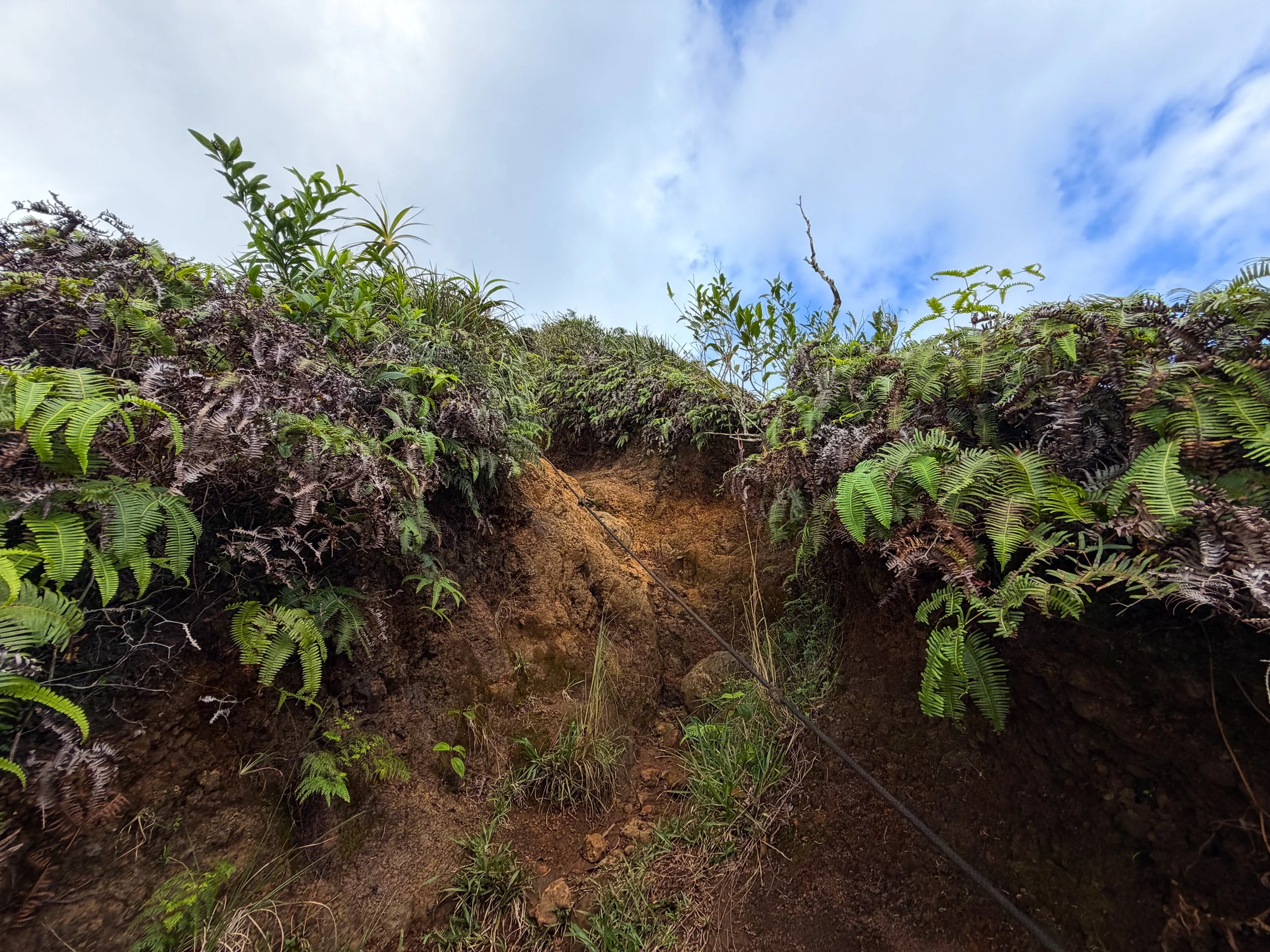 Kaau Crater Trail Oahu Hawaii