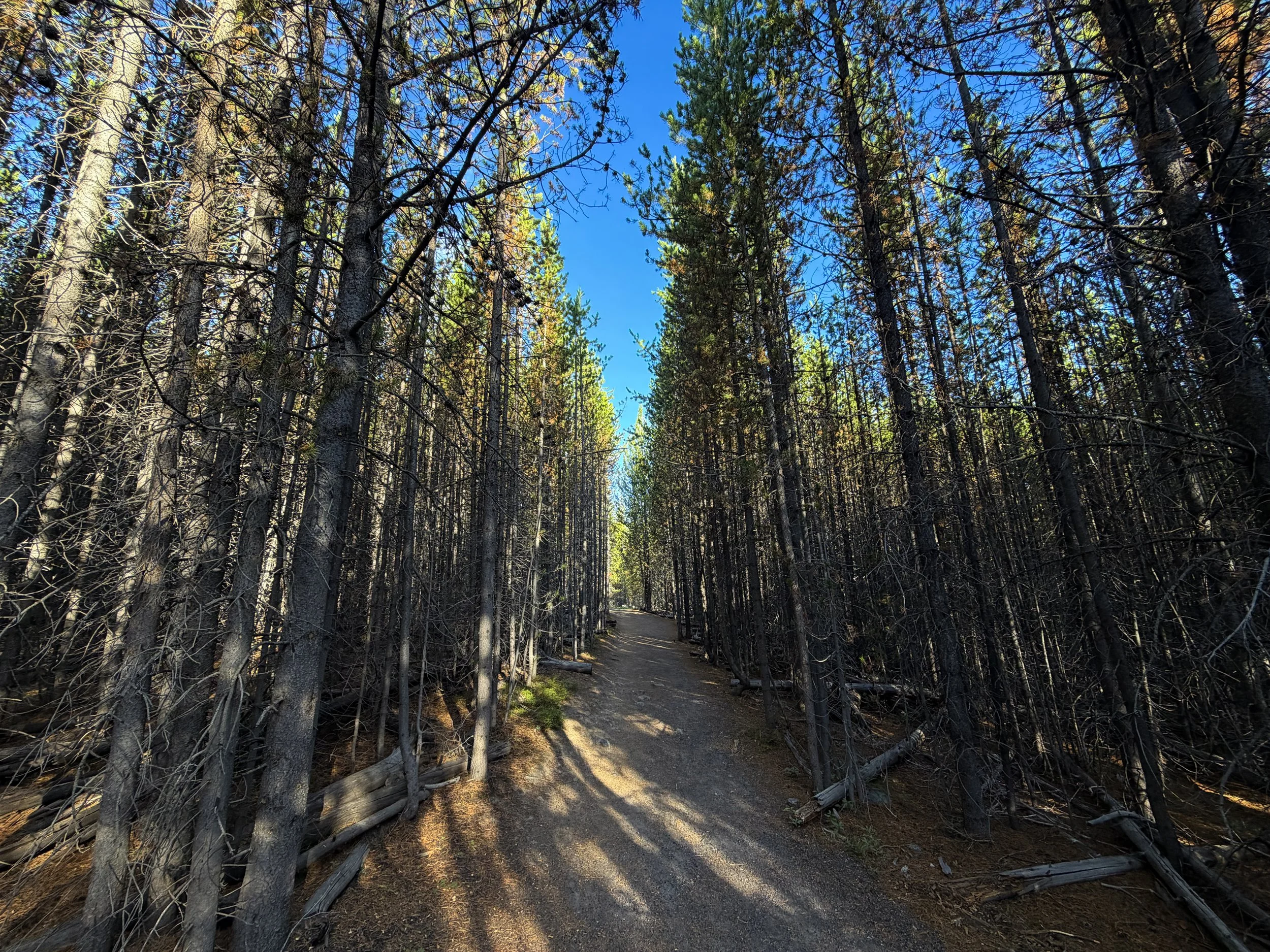 Fairy Falls Trail Yellowstone National Park Wyoming