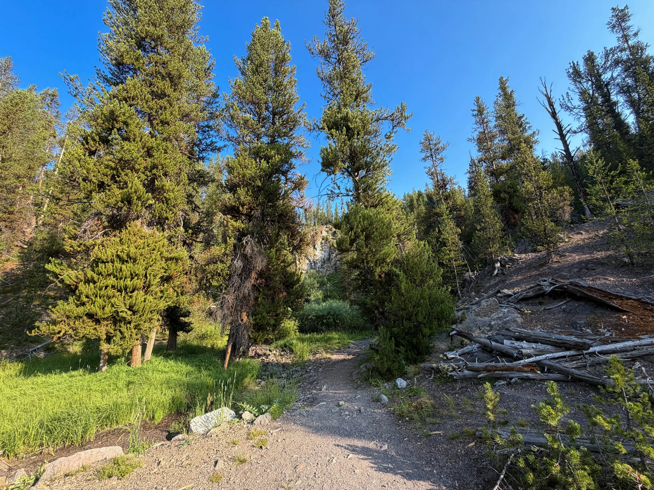 Natural Bridge Trail Yellowstone National Park Wyoming