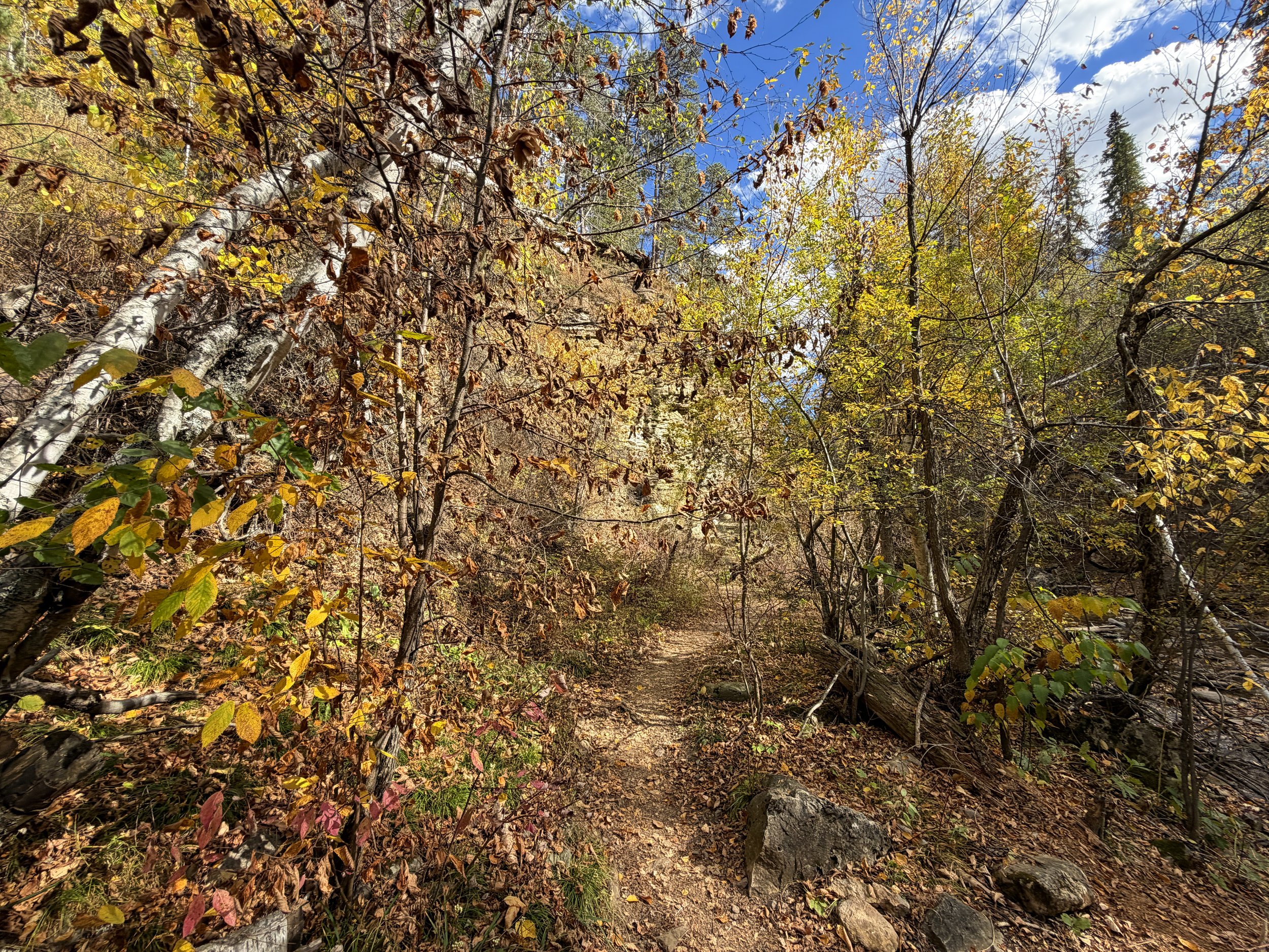 Devils Bathtub Trail Spearfish Canyon Black Hills South Dakota