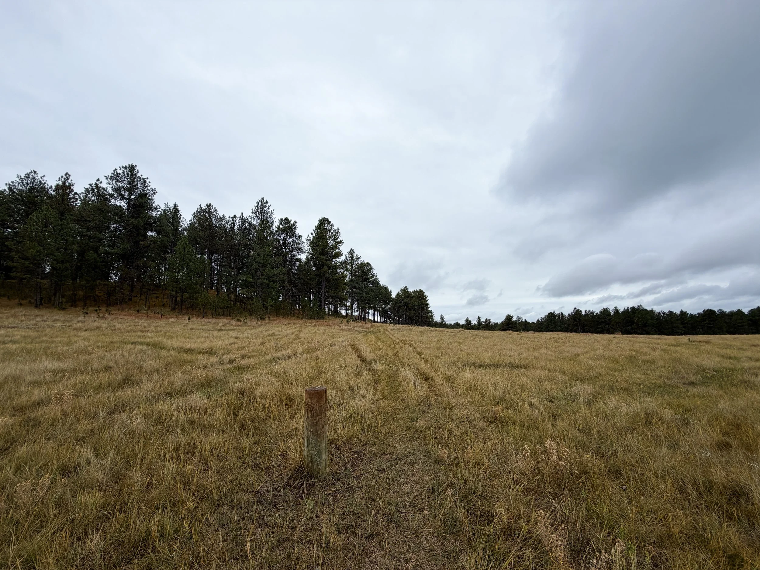 Highland Creek Hike Wind Cave National Park South Dakota