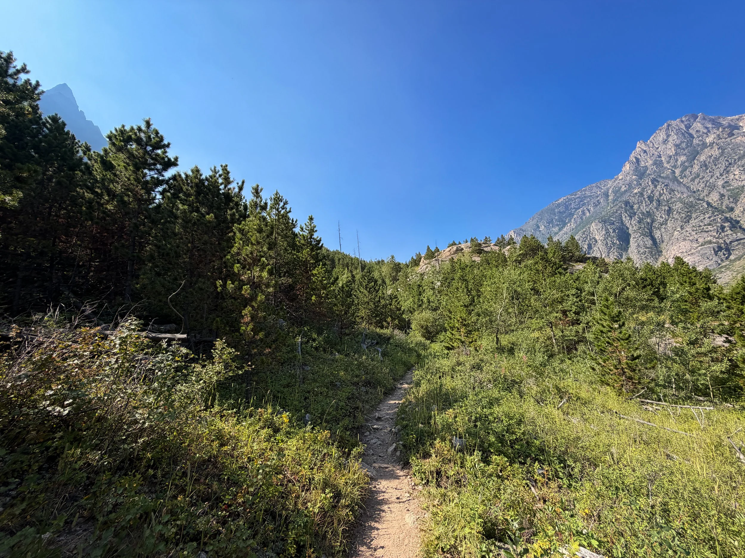 East Rosebud Trail Beartooth Mountains Montana