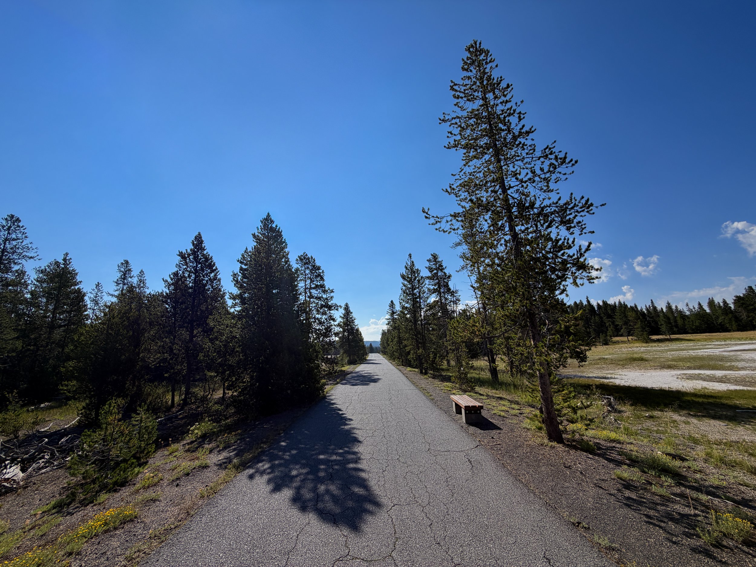 Upper Geyser Basin Trail Yellowstone National Park Wyoming
