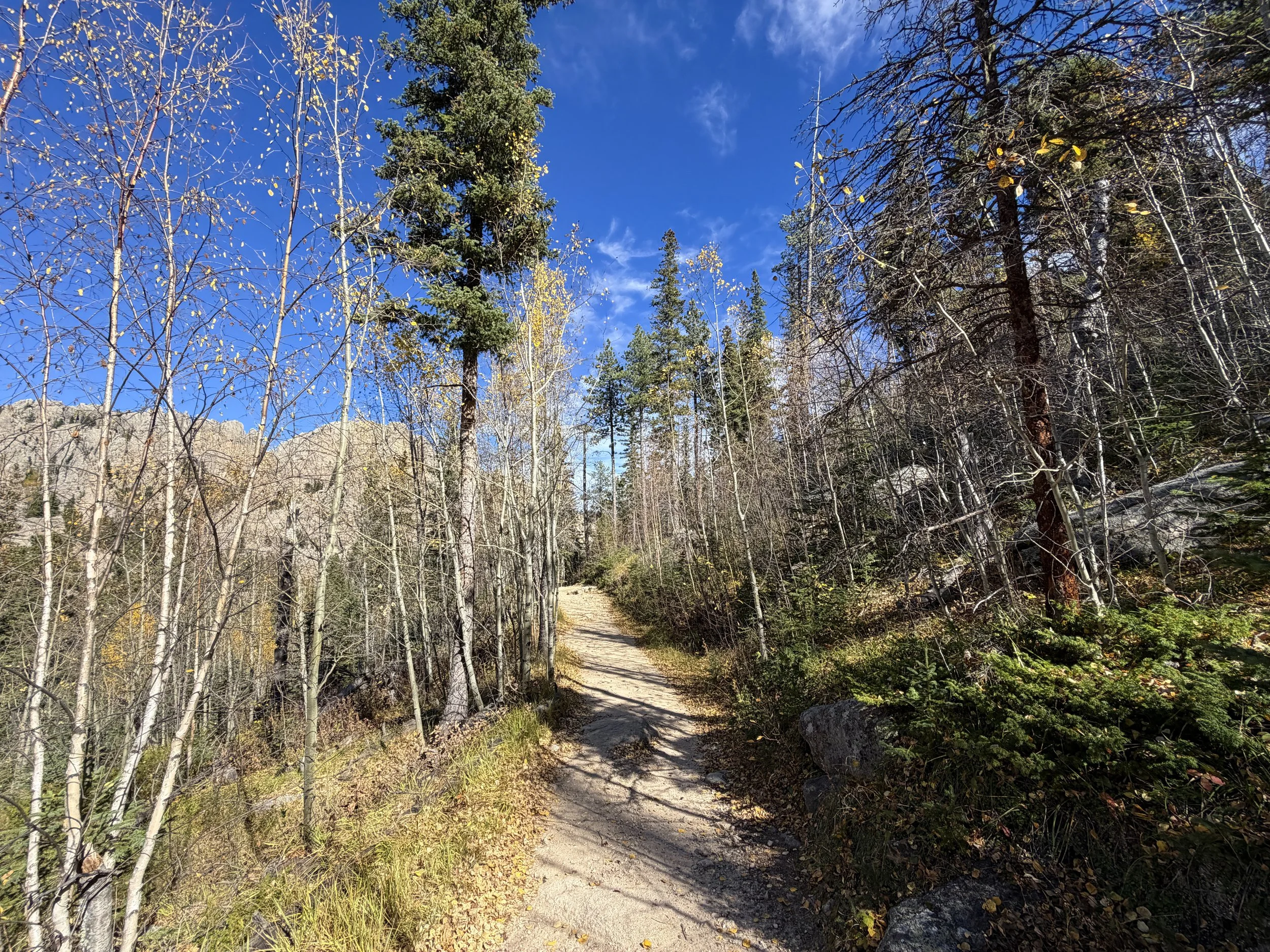 Black Elk Peak Trail Custer State Park Black Hills South Dakota