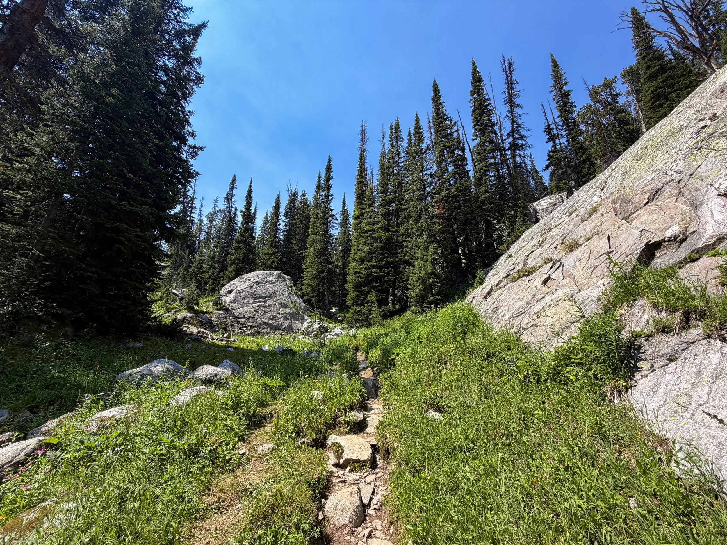 The Beaten Path Trail Beartooth Mountains Montana