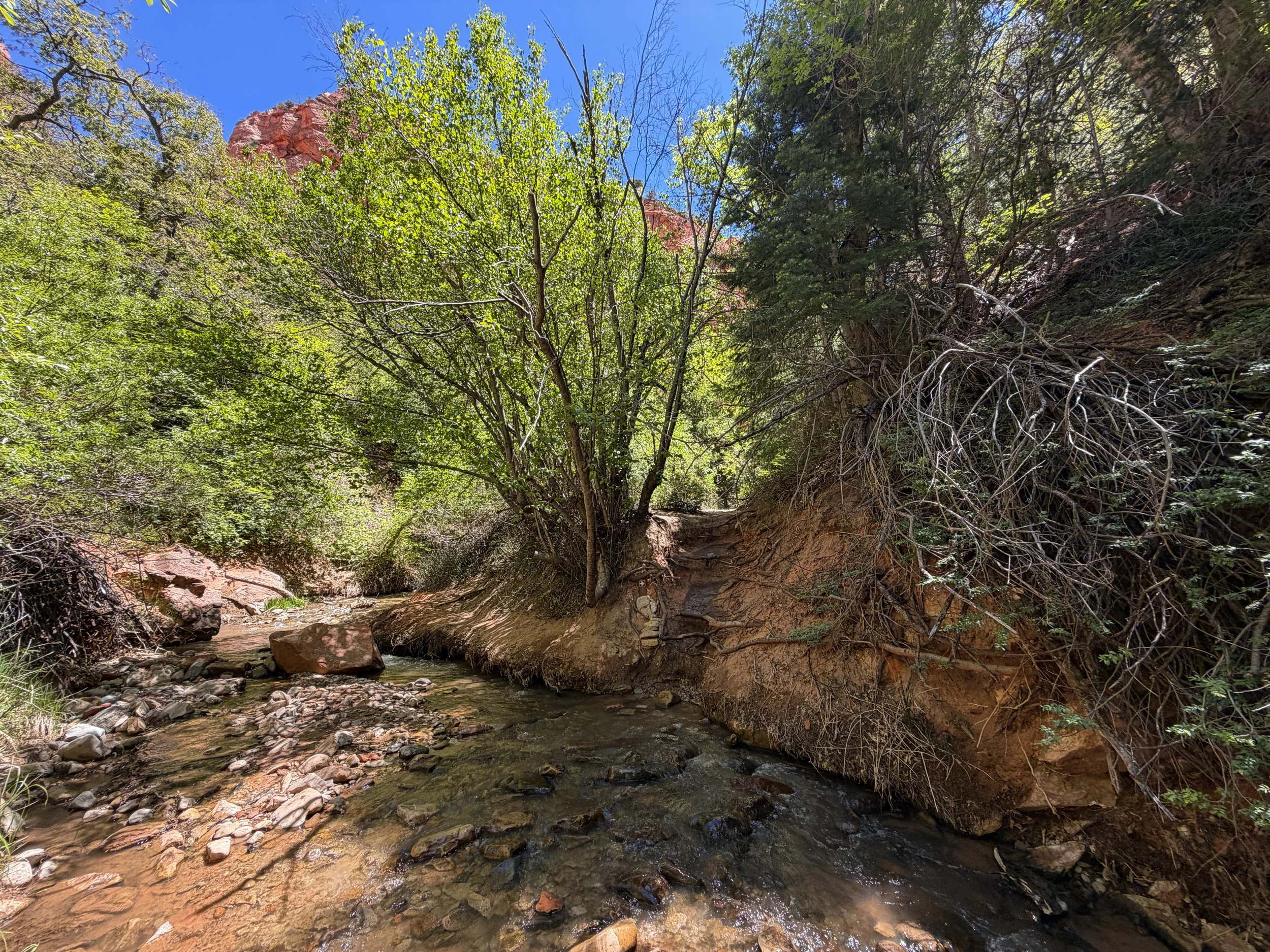 Kanarra Falls Trail Kanarraville Utah