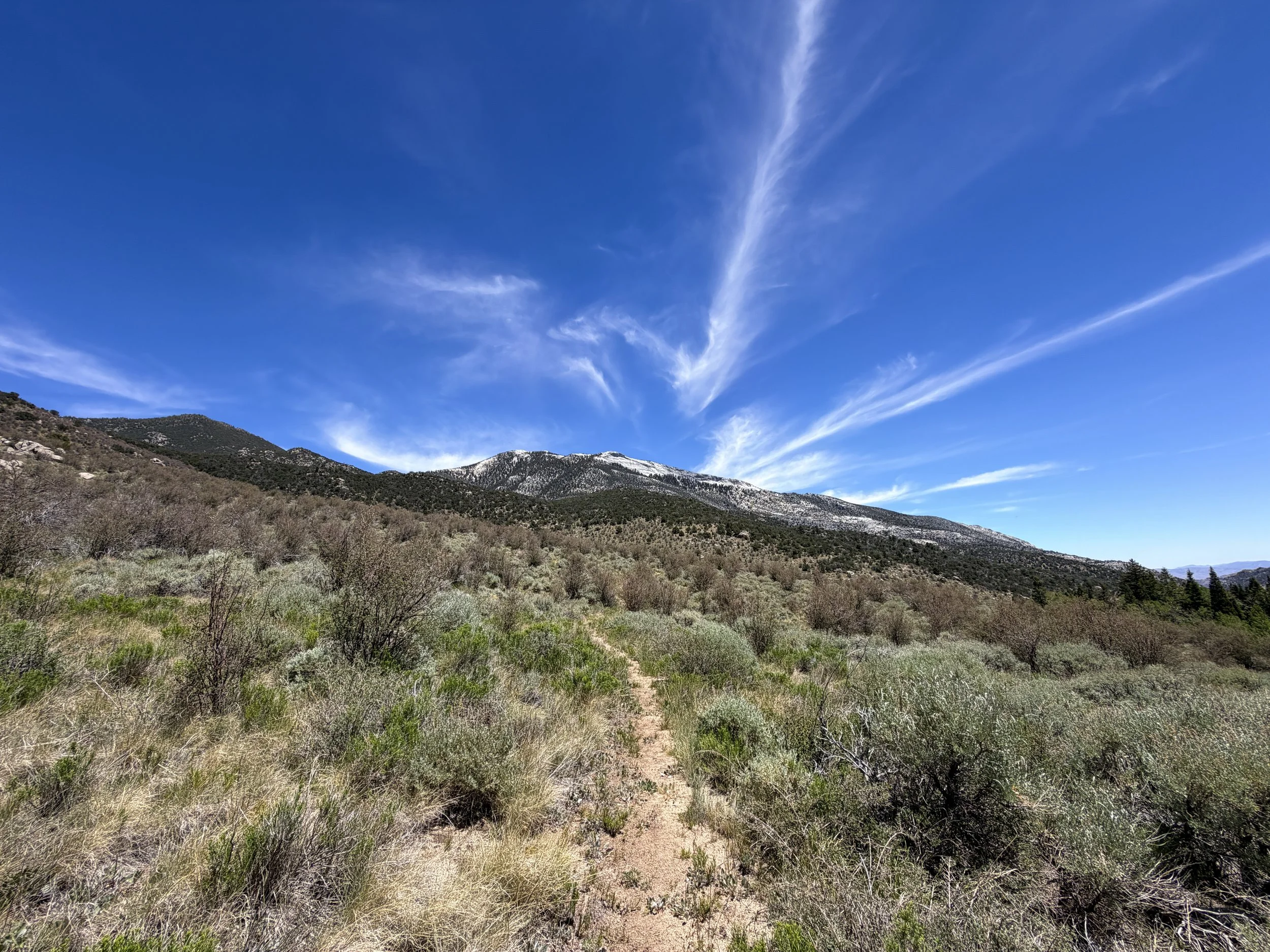 Serviceberry Loop Trail Great Basin National Park Nevada