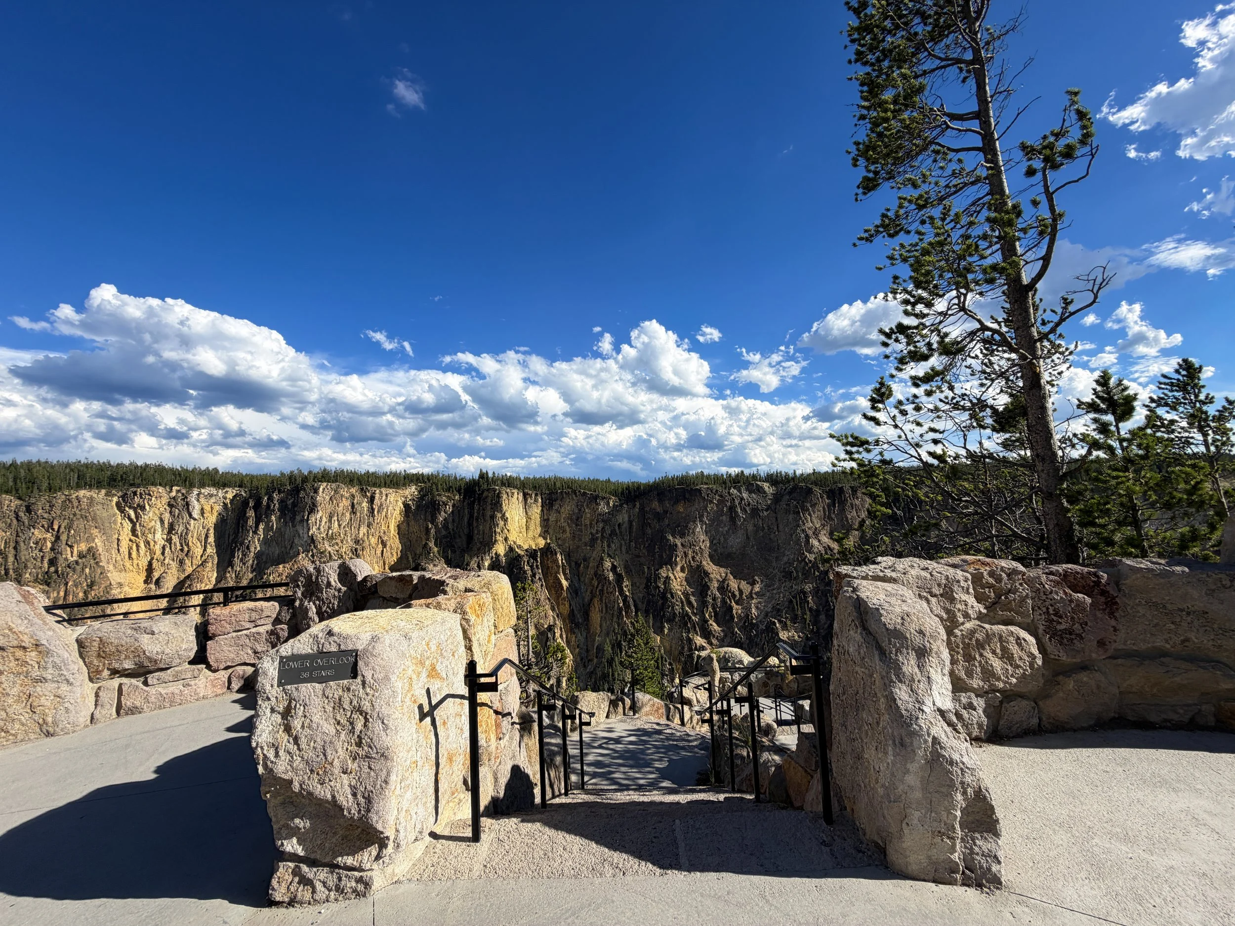 Inspiration Point North Rim Trail Yellowstone National Park Wyoming
