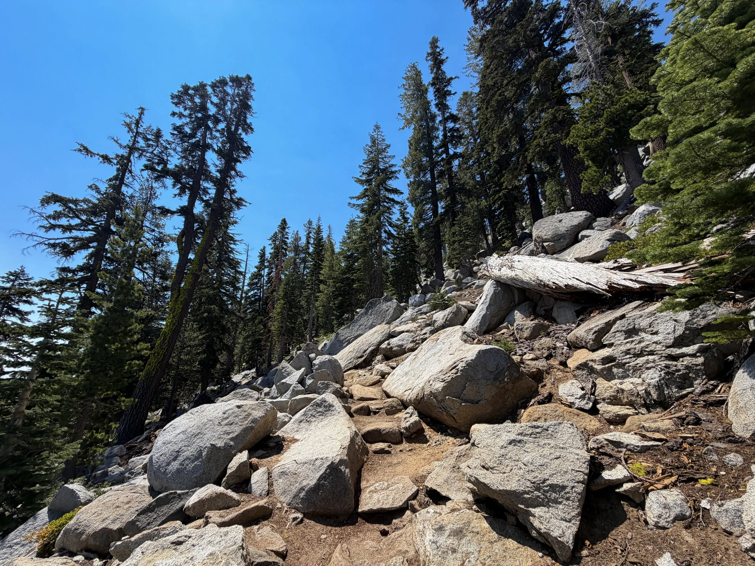 Maggies Peak Hike Lake Tahoe California