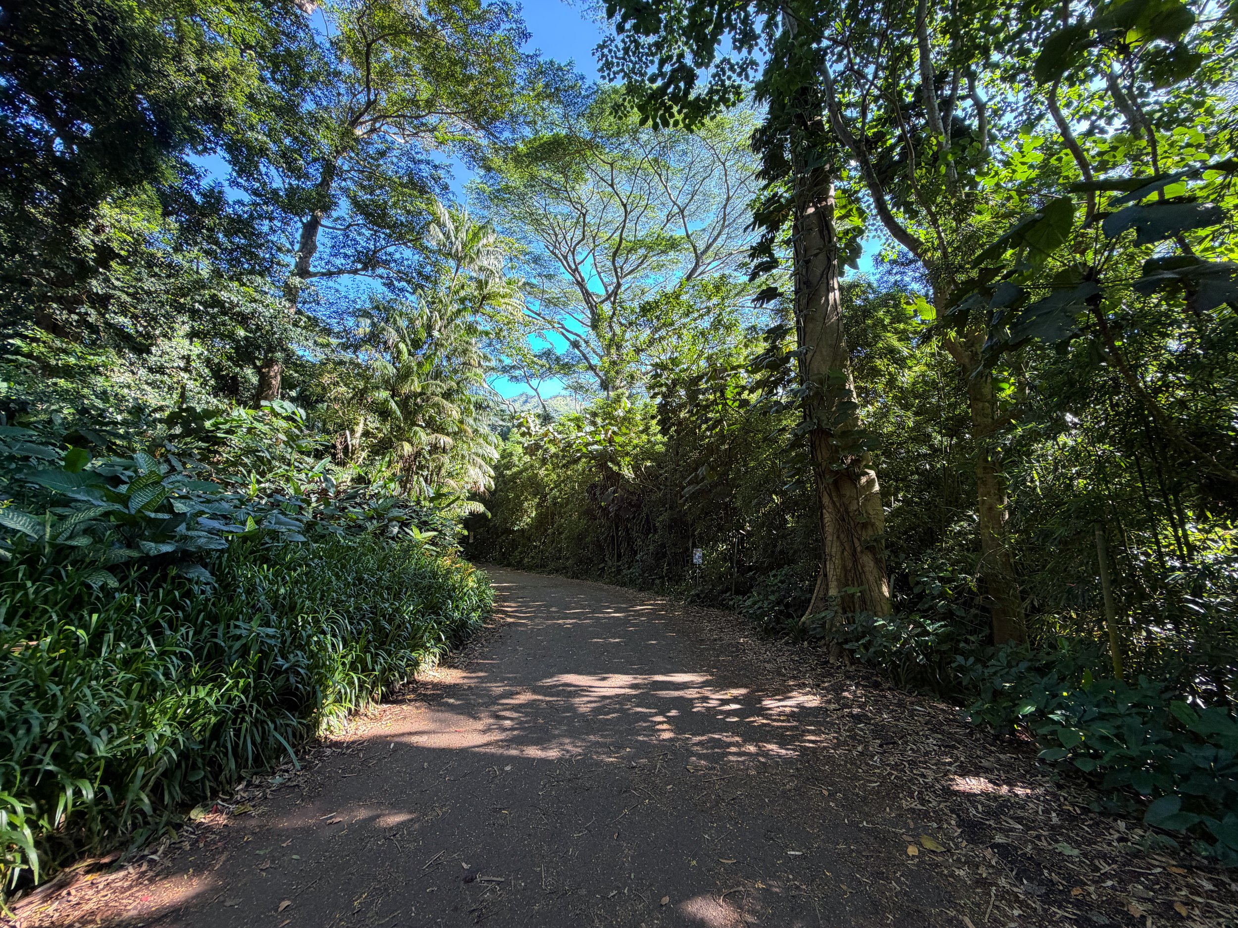 Manoa Falls Trailhead Oahu Hawaii