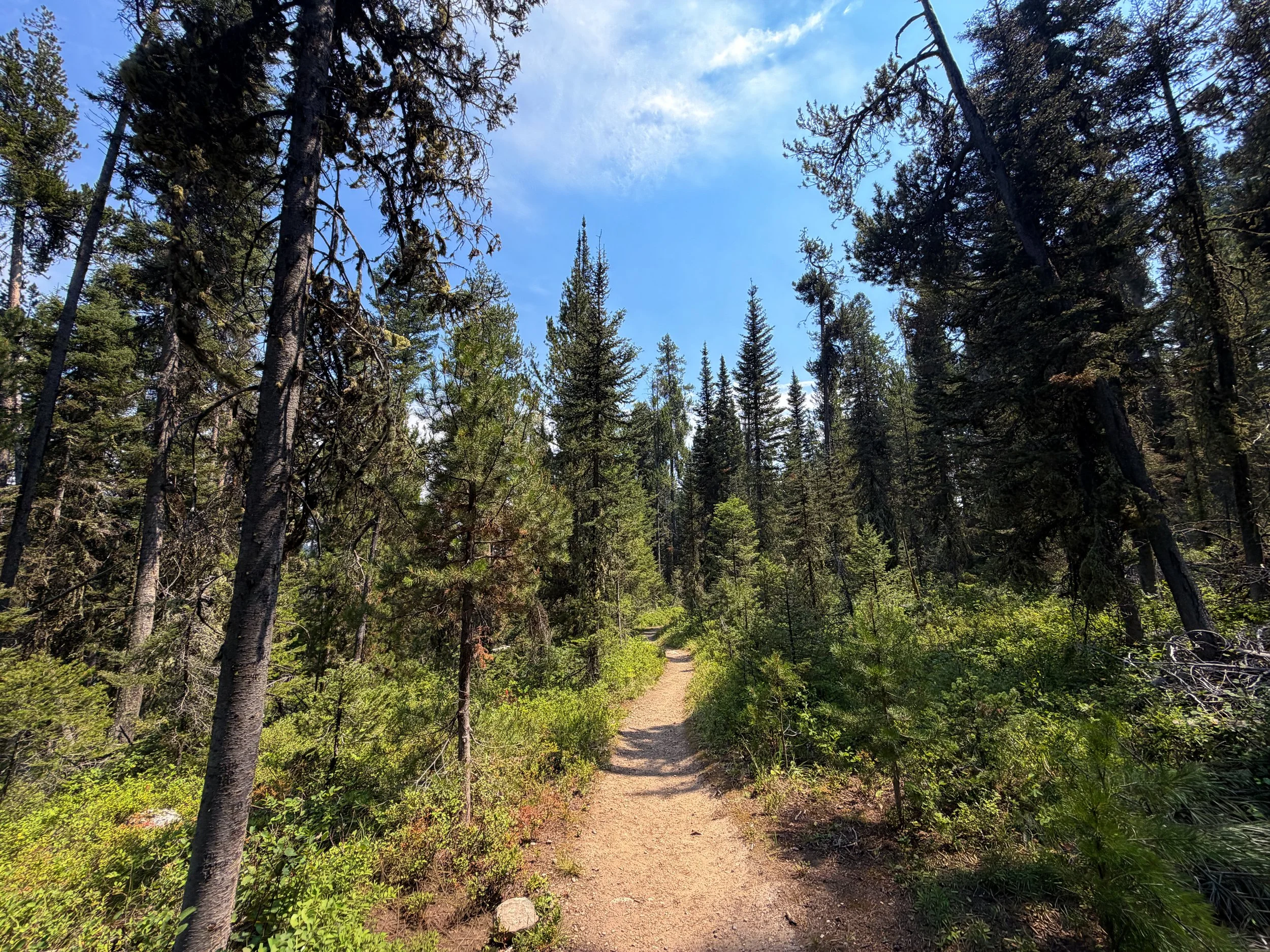 Phelps Lake Loop Trail Grand Teton National Park Wyoming