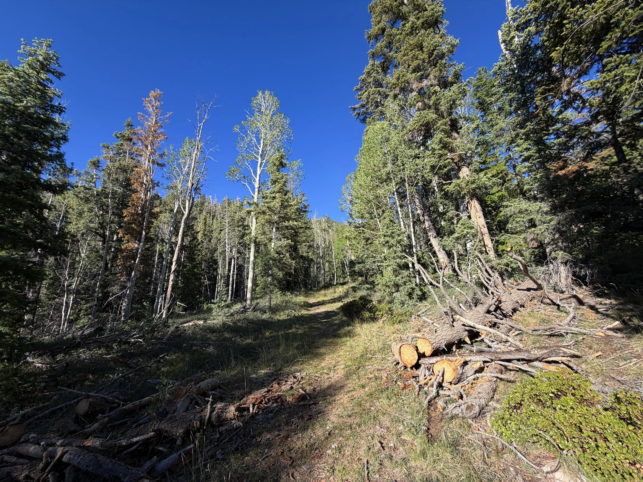 Snake Creek Overlook Hike Great Basin National Park Nevada