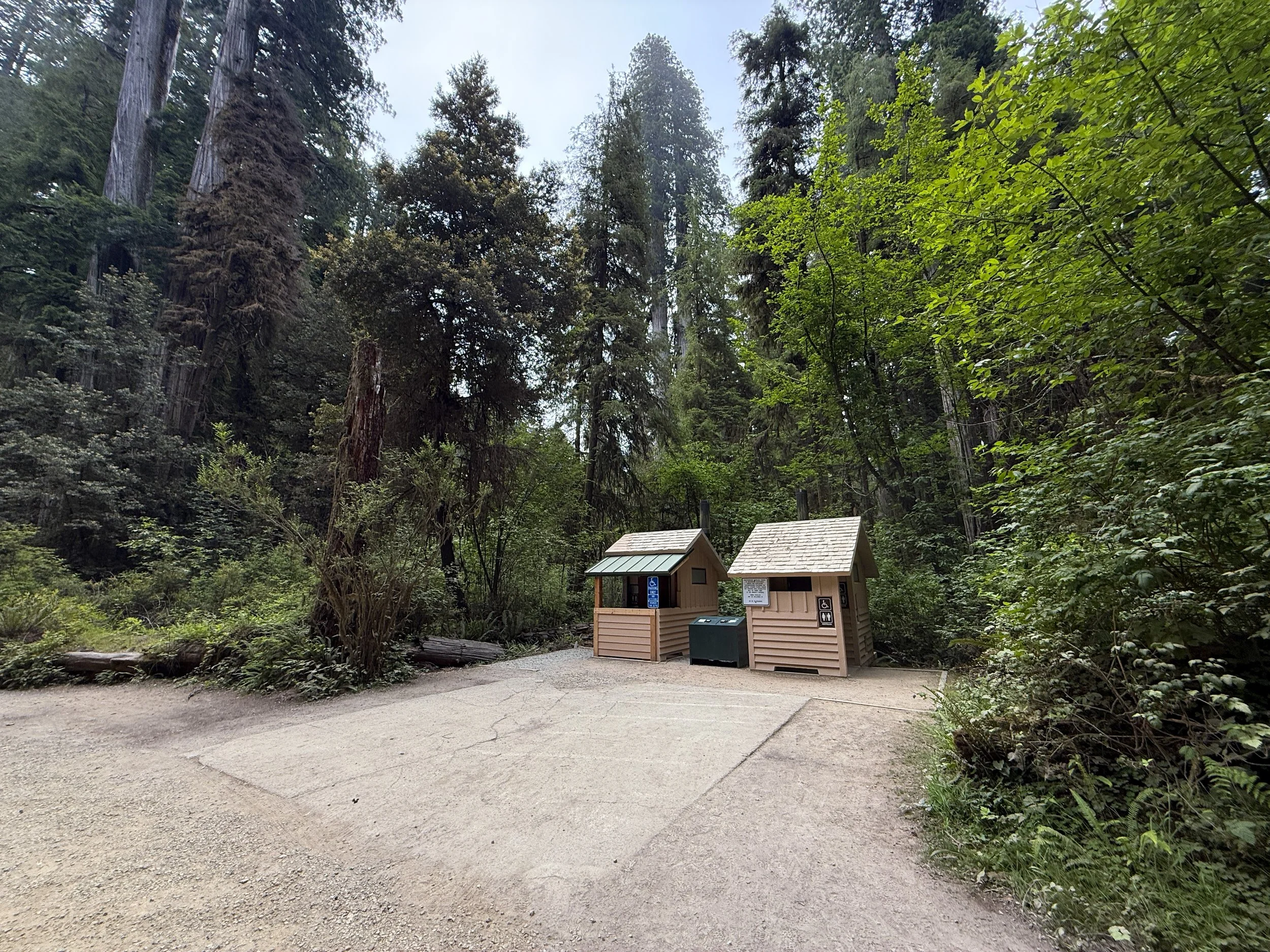 Boy Scout Tree Trailhead Parking Jedediah Smith Redwoods State Park California