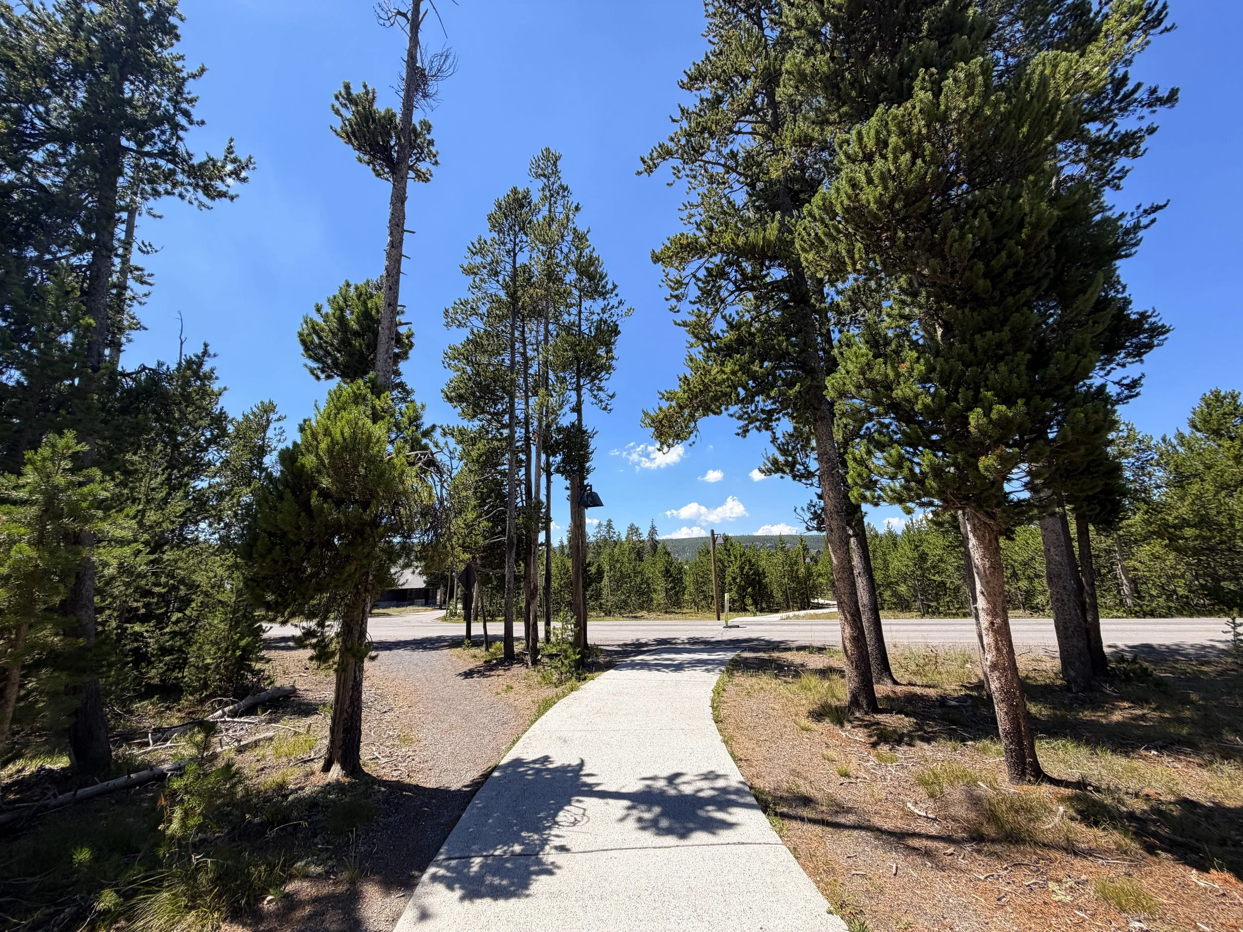 Fern Cascade Loop Trail Yellowstone National Park Wyoming