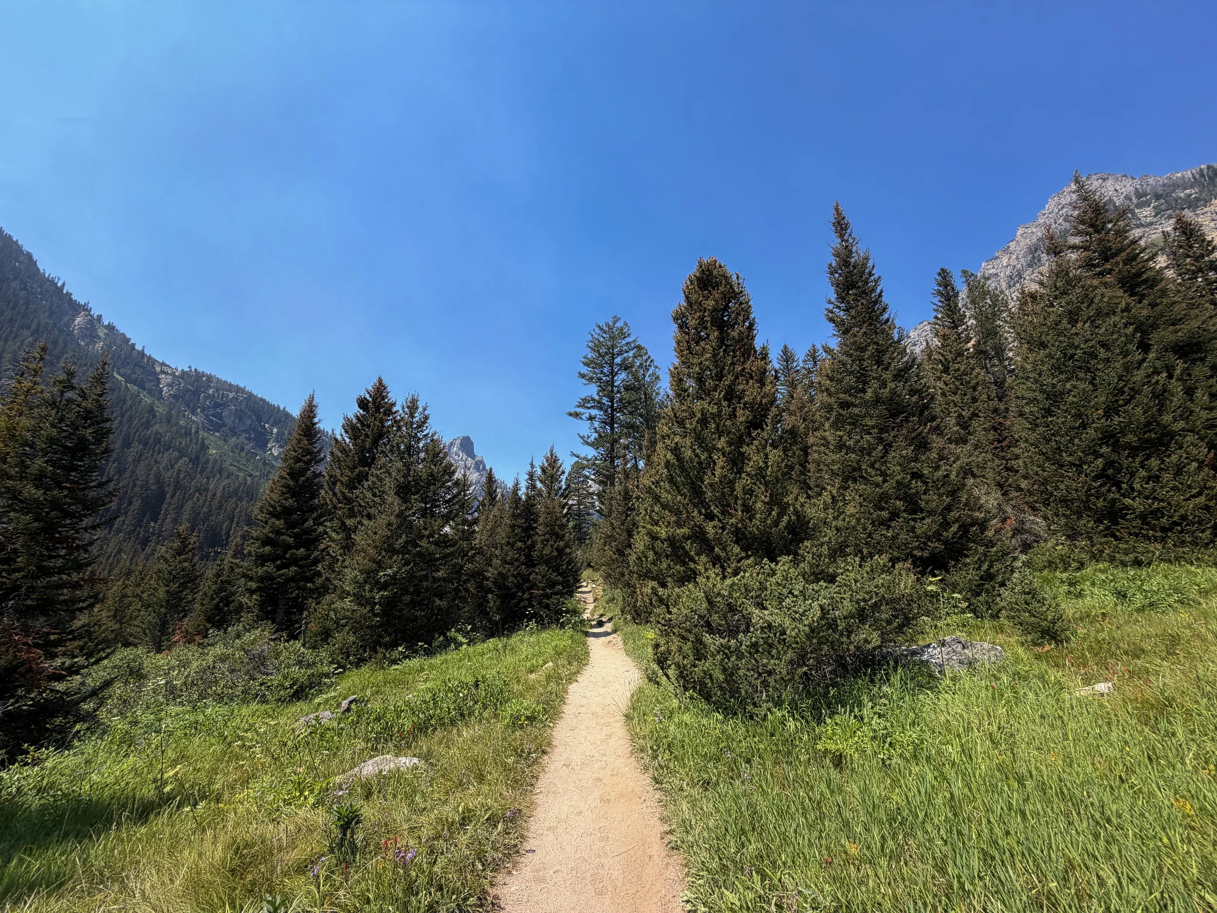 Cascade Canyon Trail Grand Teton National Park Wyoming