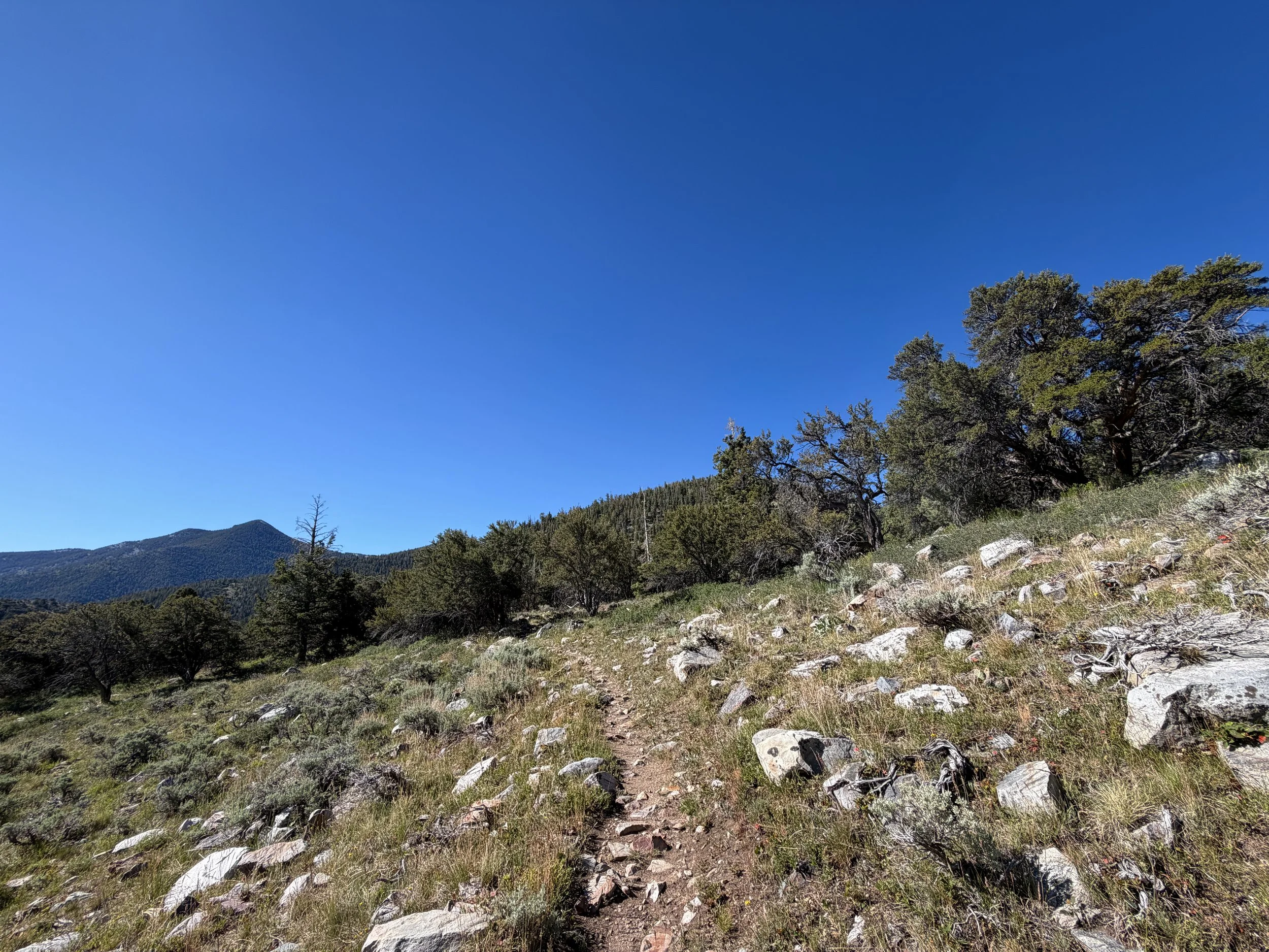 Baker Lake Hike Great Basin National Park Nevada