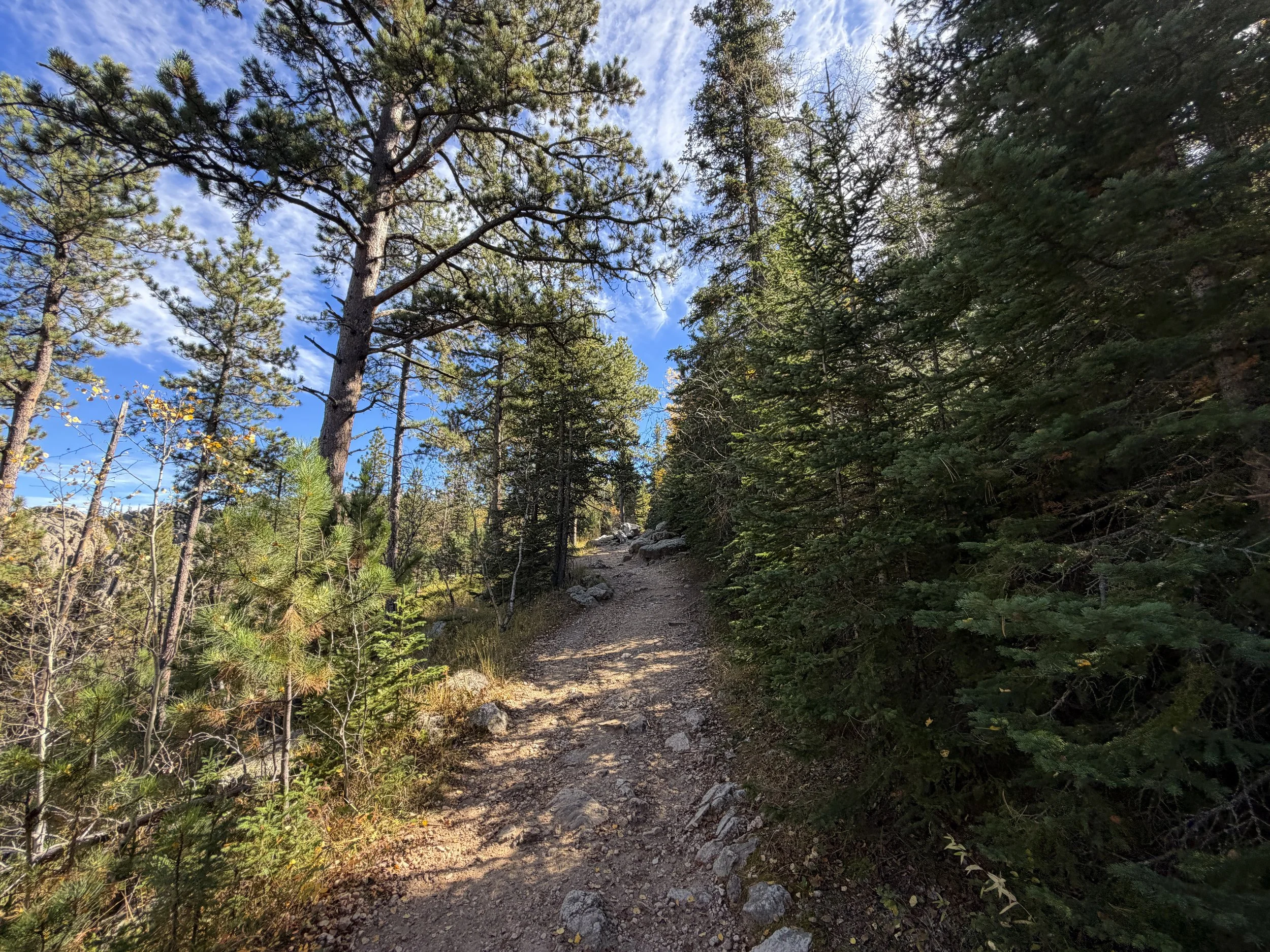 Black Elk Peak Hike Custer State Park Black Hills South Dakota