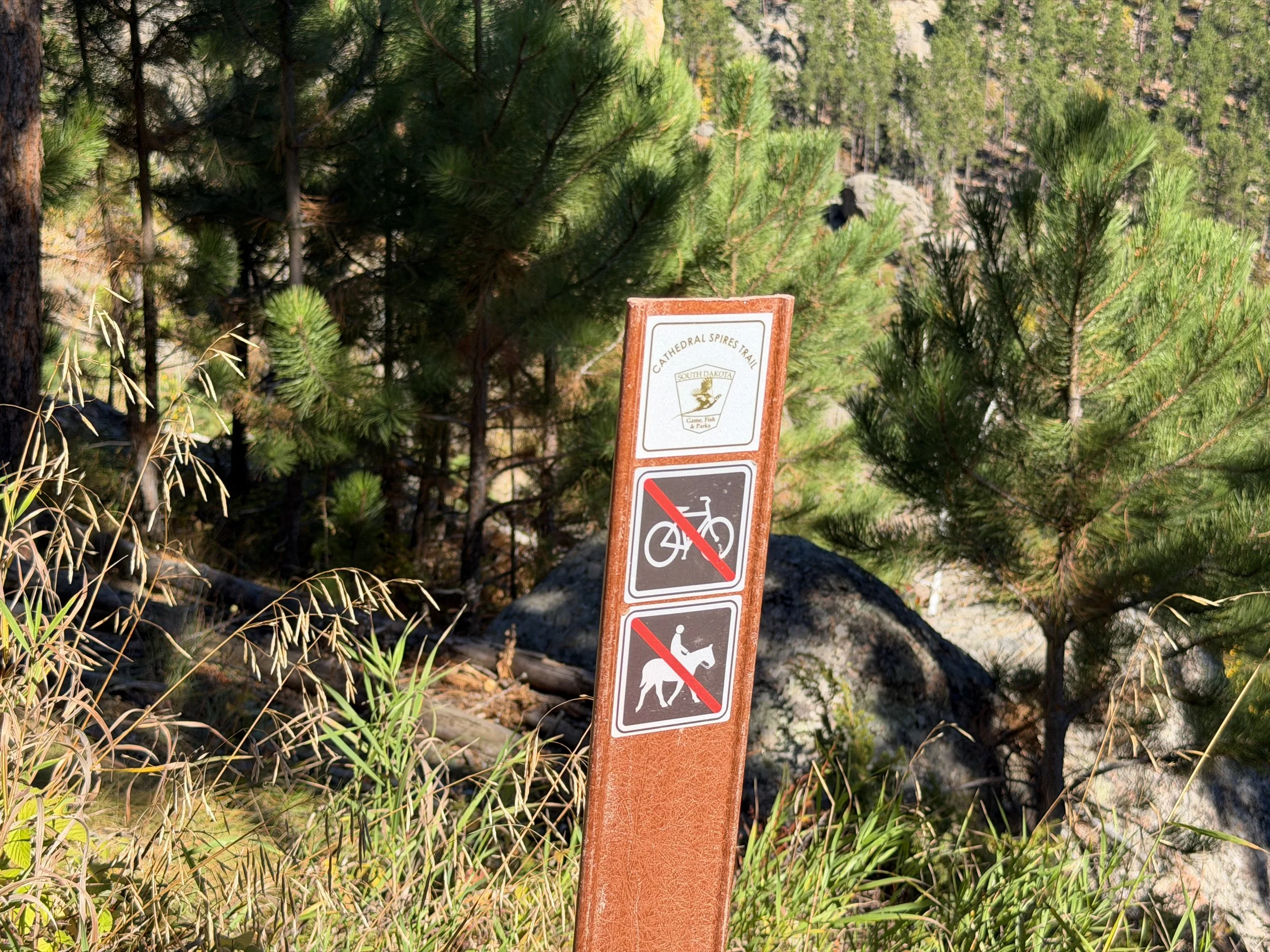 Cathedral Spires Trail Custer State Park Black Hills South Dakota