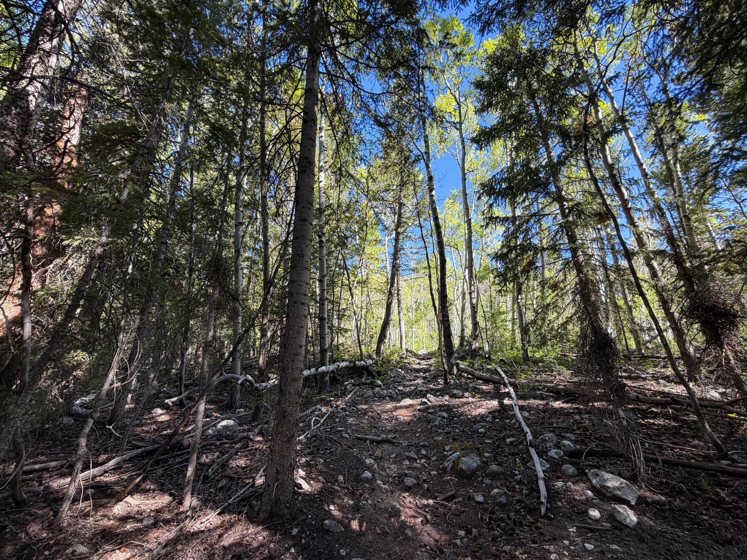 Baker Lake Trail Great Basin National Park Nevada