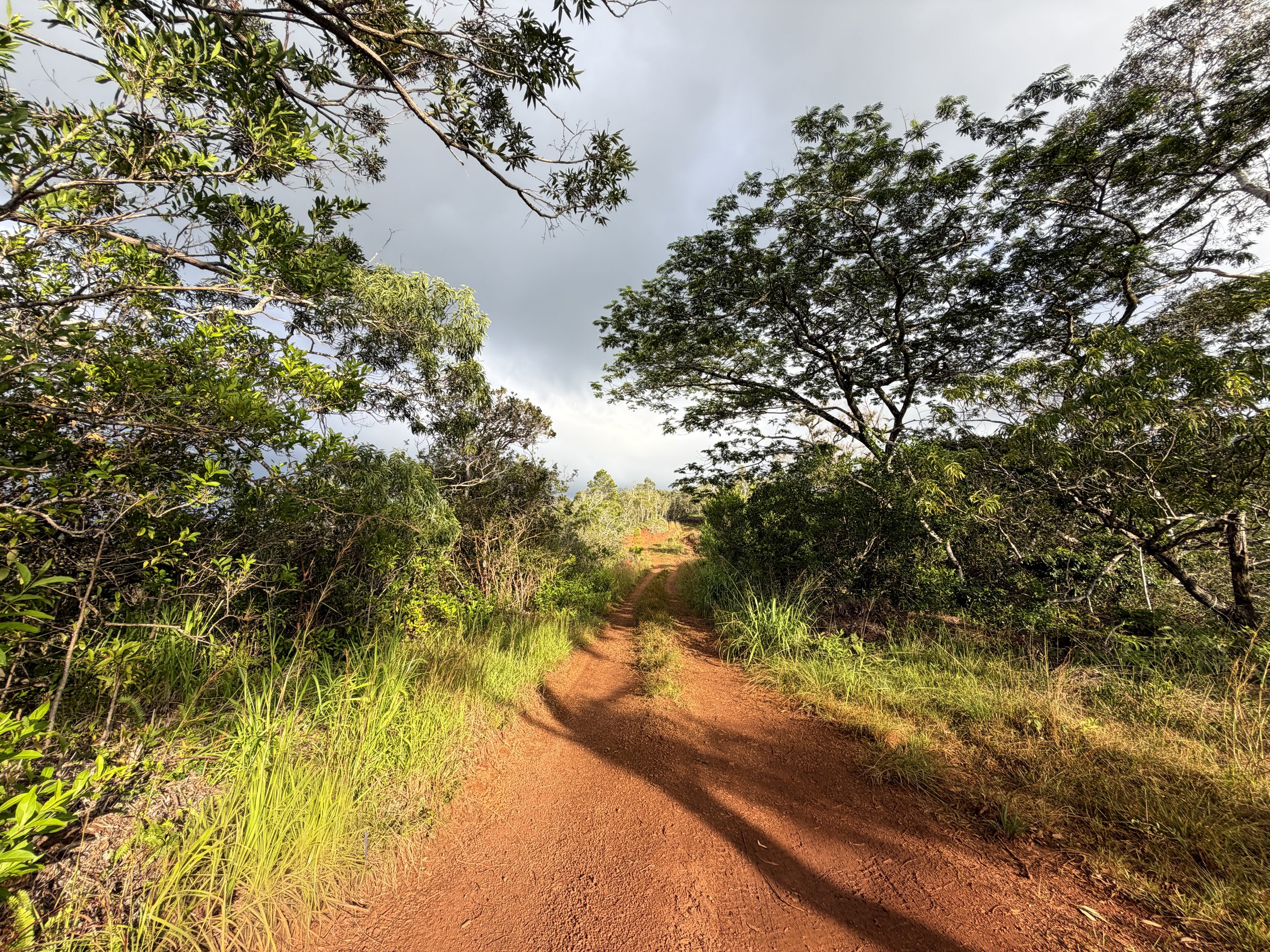 Poamoho 4WD Road Oahu Hawaii