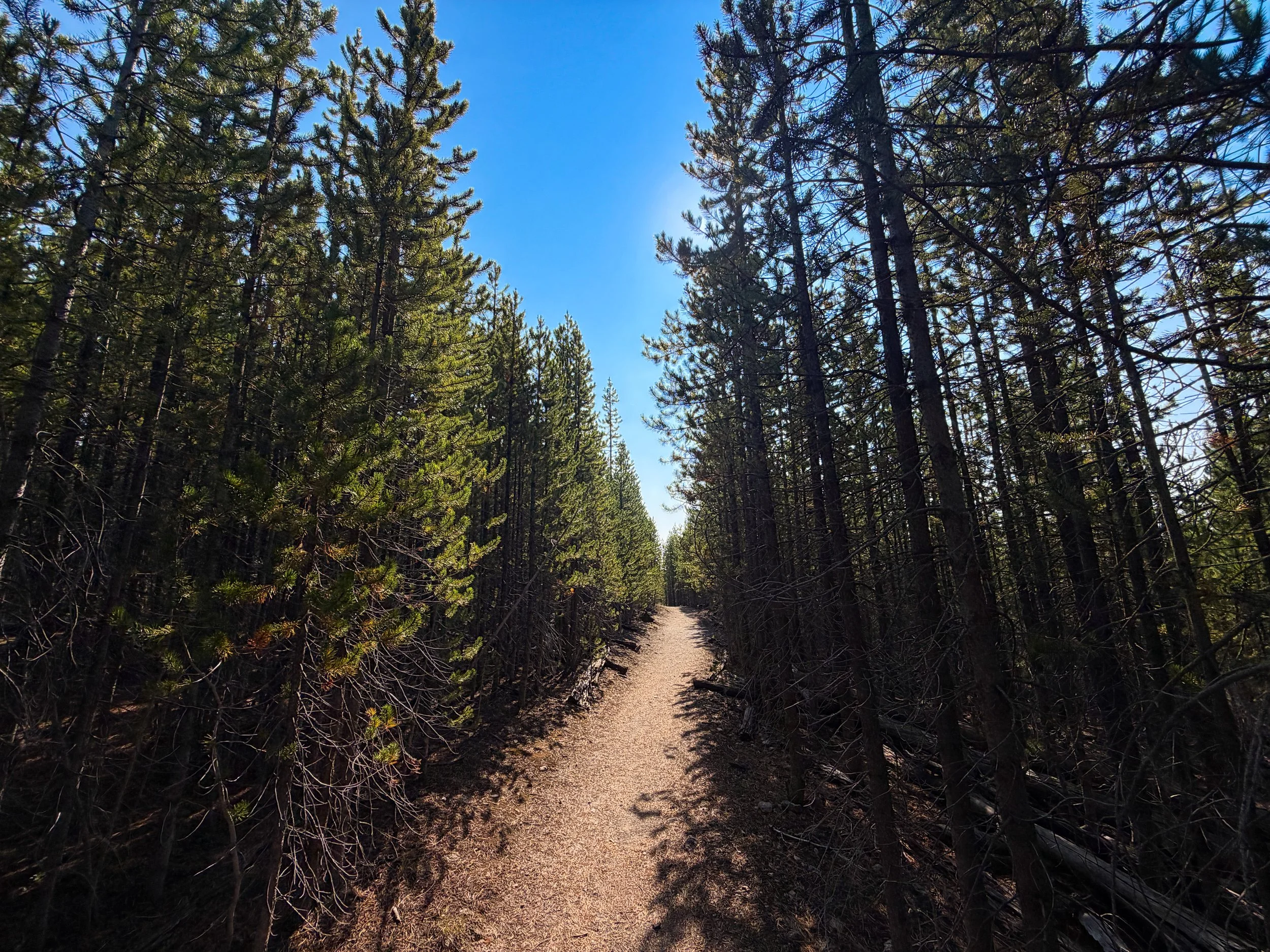 Mystic Falls Loop Trail Yellowstone National Park Wyoming