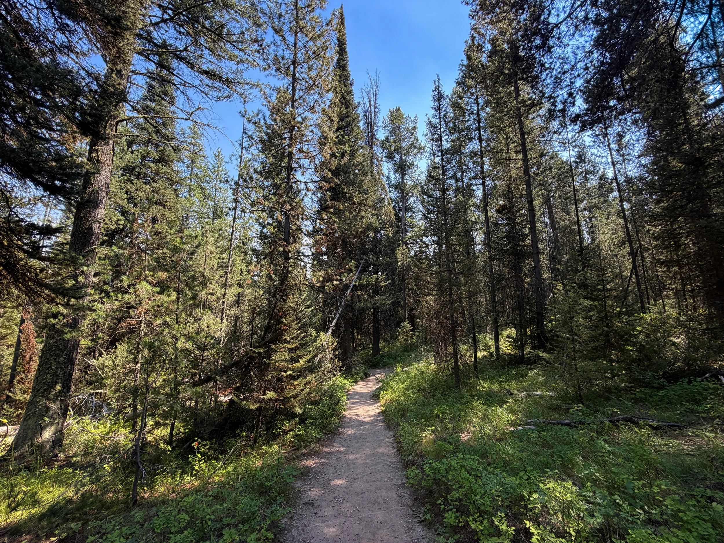 Phelps Lake Loop Trail Grand Teton National Park Wyoming