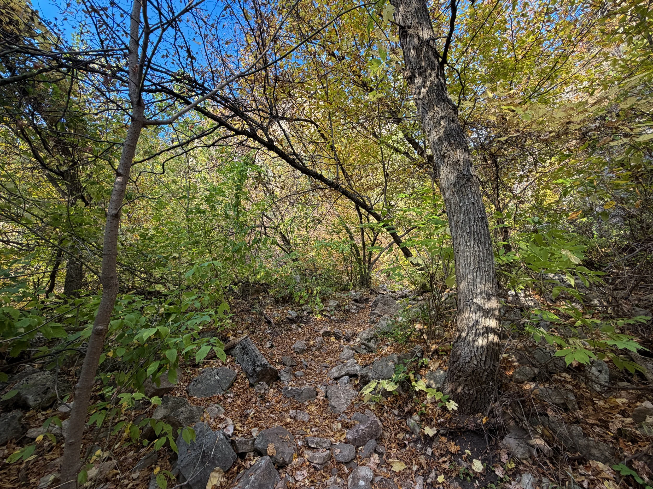Community Caves Hike Spearfish Canyon Black Hills South Dakota