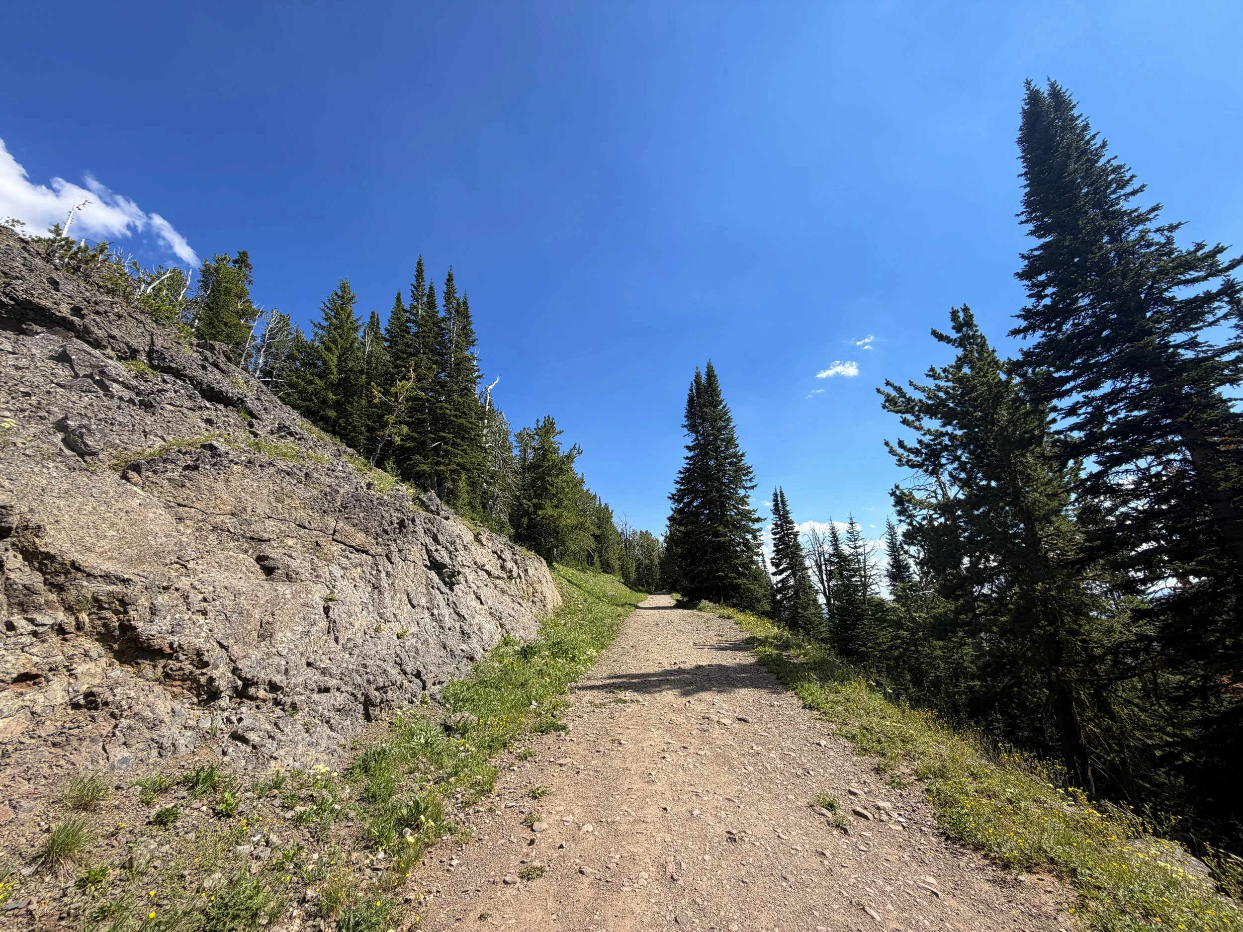 Mt. Washburn Trail via Dunraven Pass Yellowstone National Park Wyoming