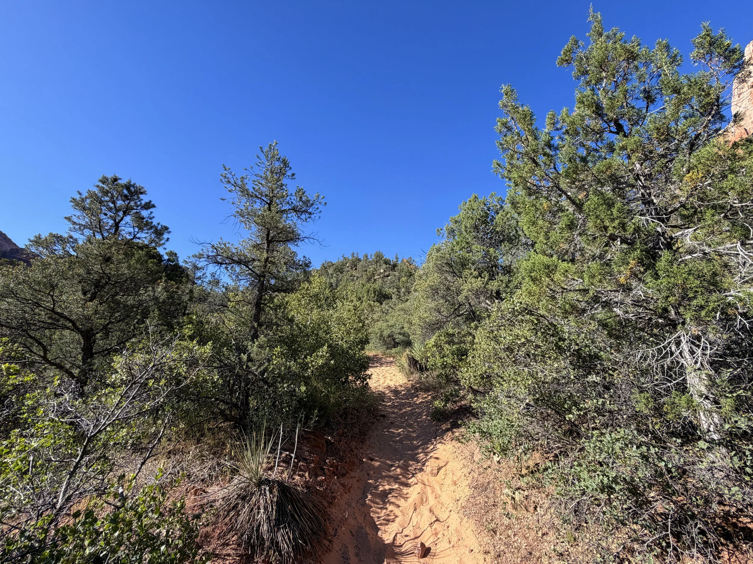 Sand Bench Loop Trail Zion National Park Utah