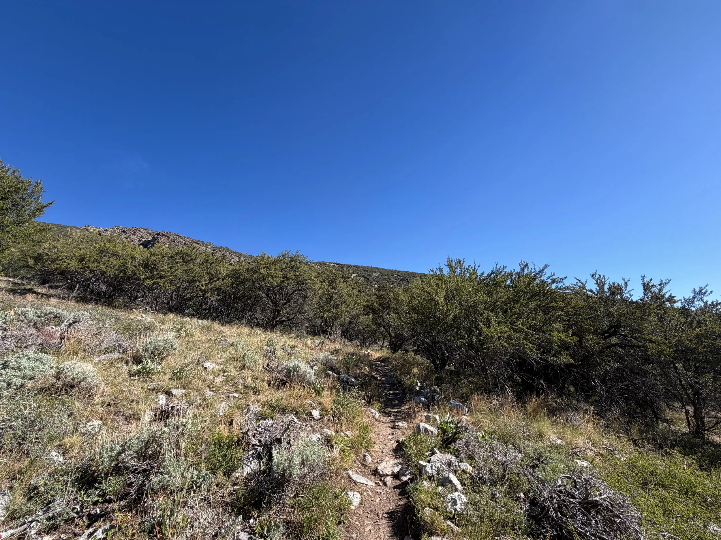 Baker Lake Hike Great Basin National Park Nevada